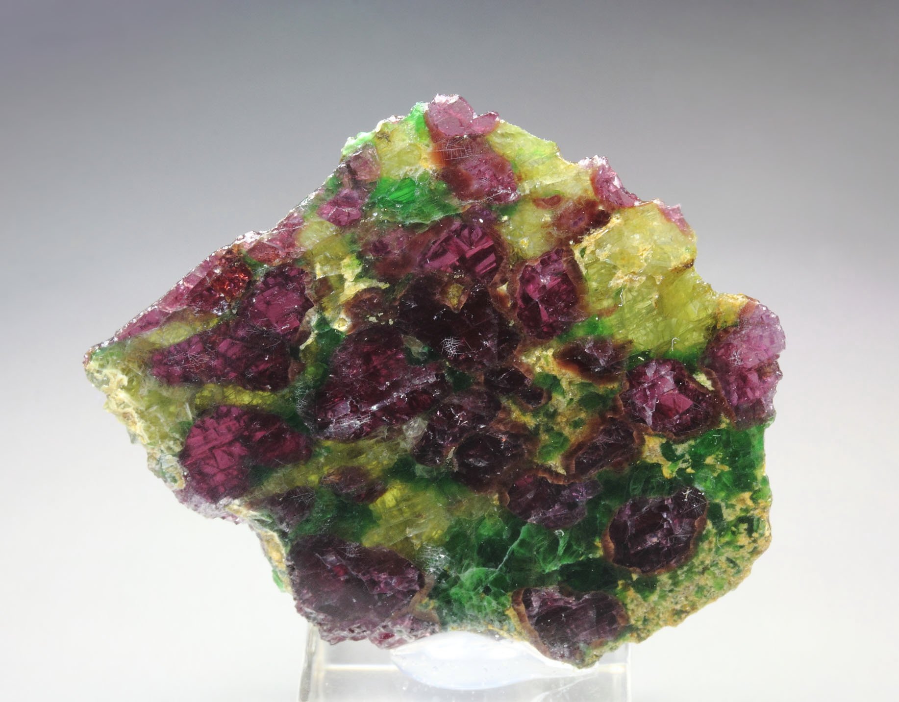 GARNET var. PYROPE, DIOPSIDE var. CHROMIUM-BEARING DIOPSIDE, ENSTATITE