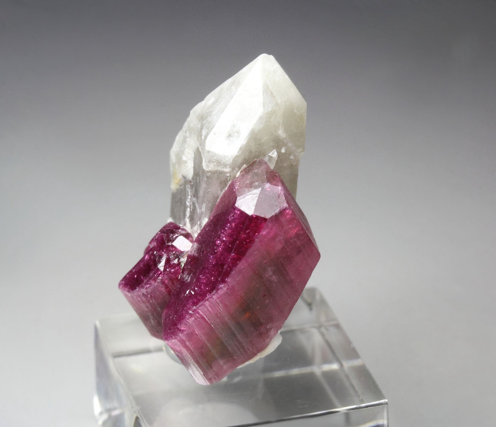 TOURMALINE var. ELBAITE, QUARTZ