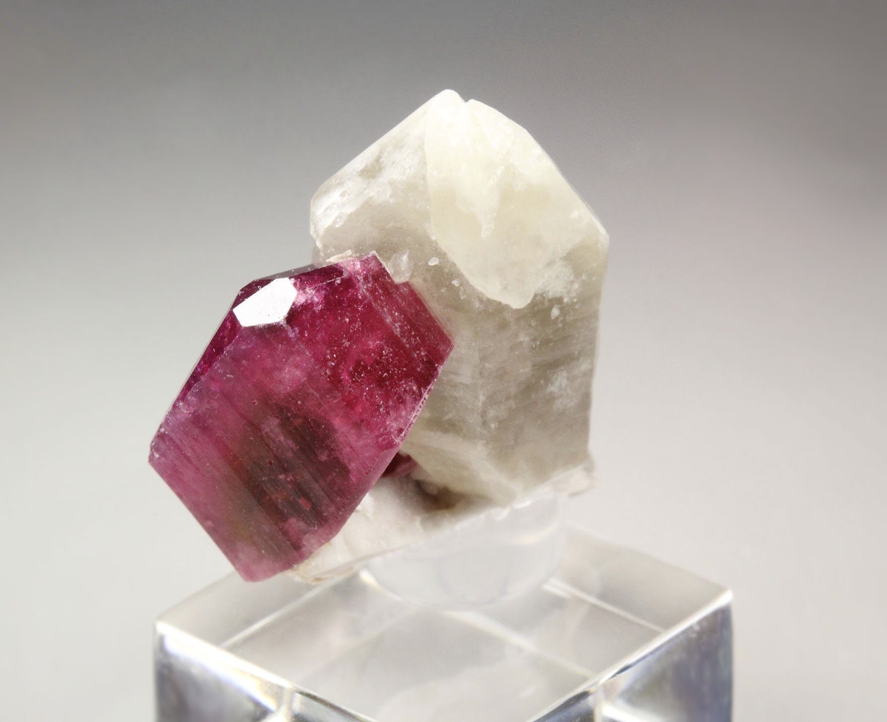 TOURMALINE var. ELBAITE, QUARTZ