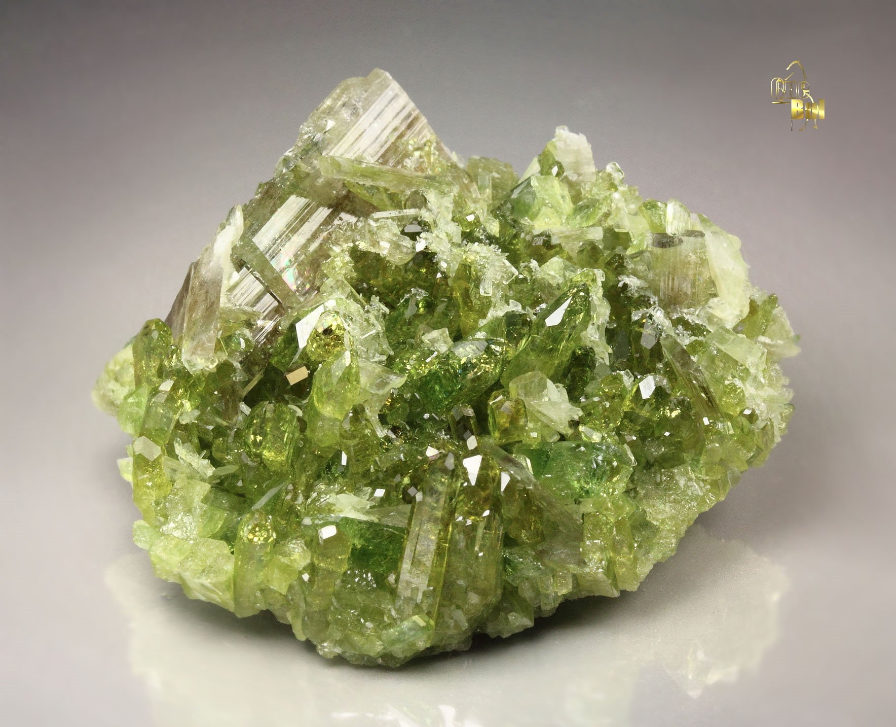 gem VESUVIANITE, DIOPSIDE