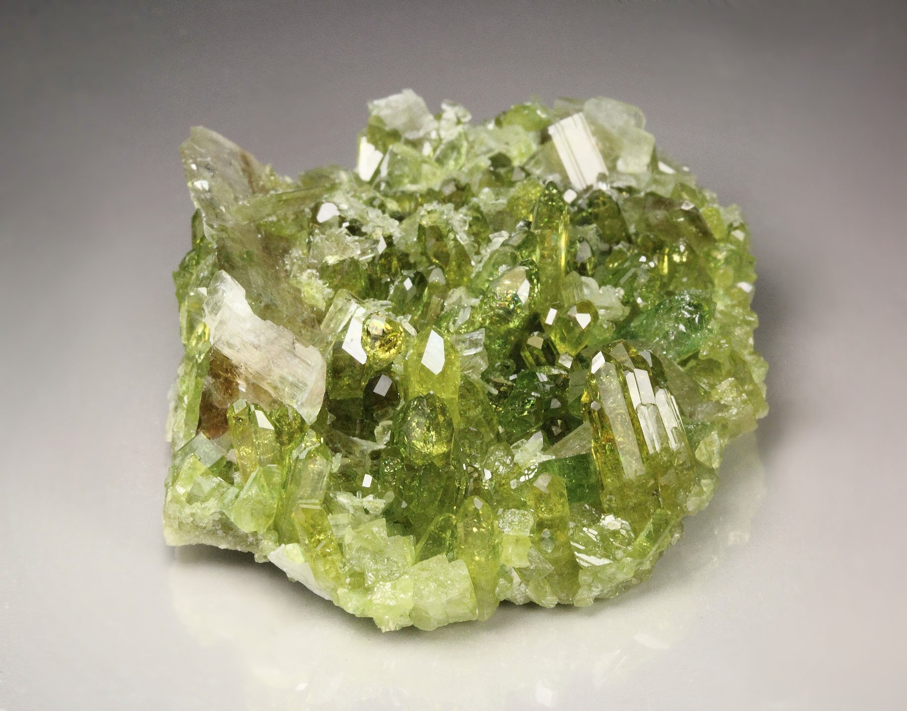 gem VESUVIANITE, DIOPSIDE