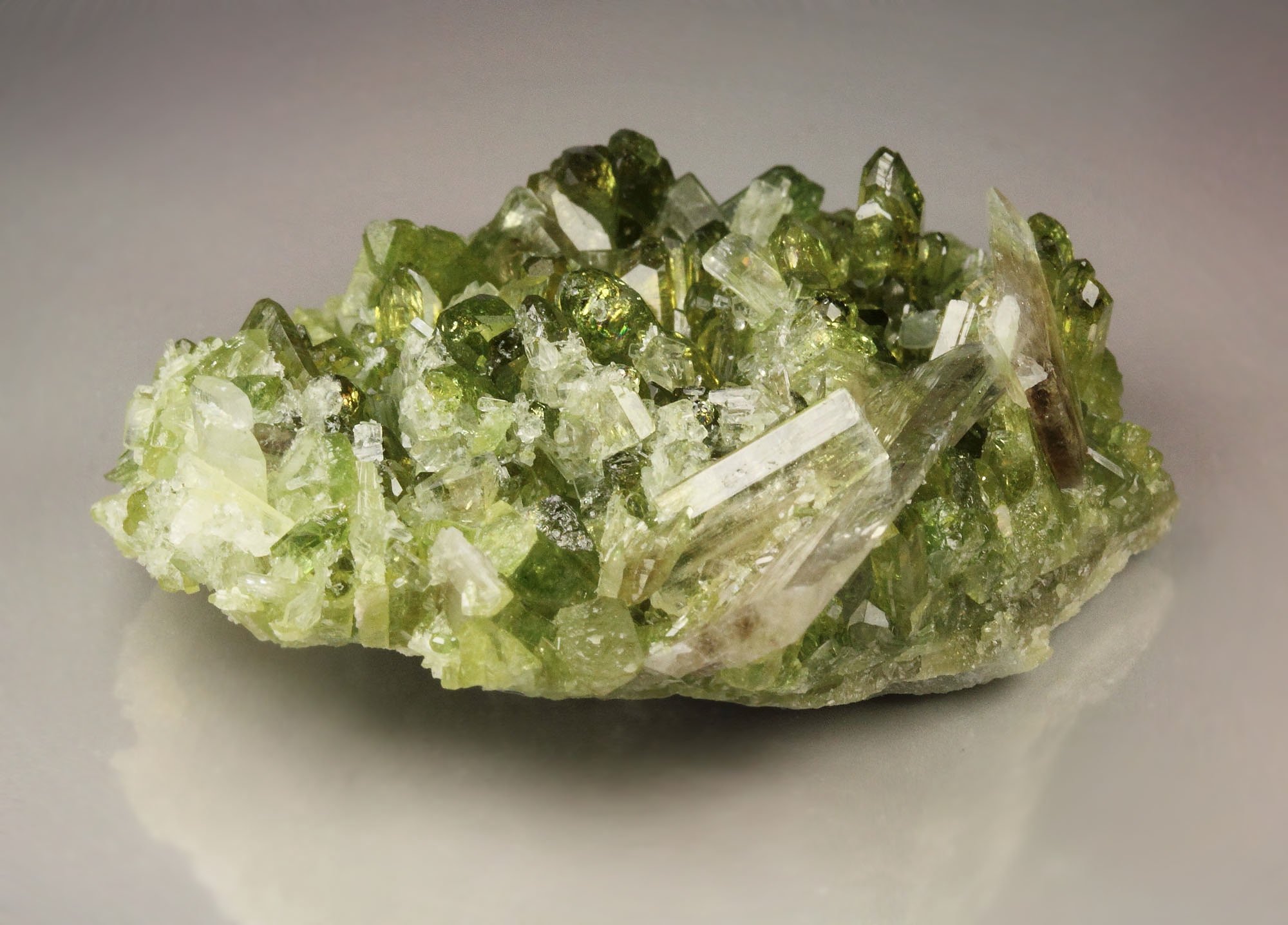 gem VESUVIANITE, DIOPSIDE