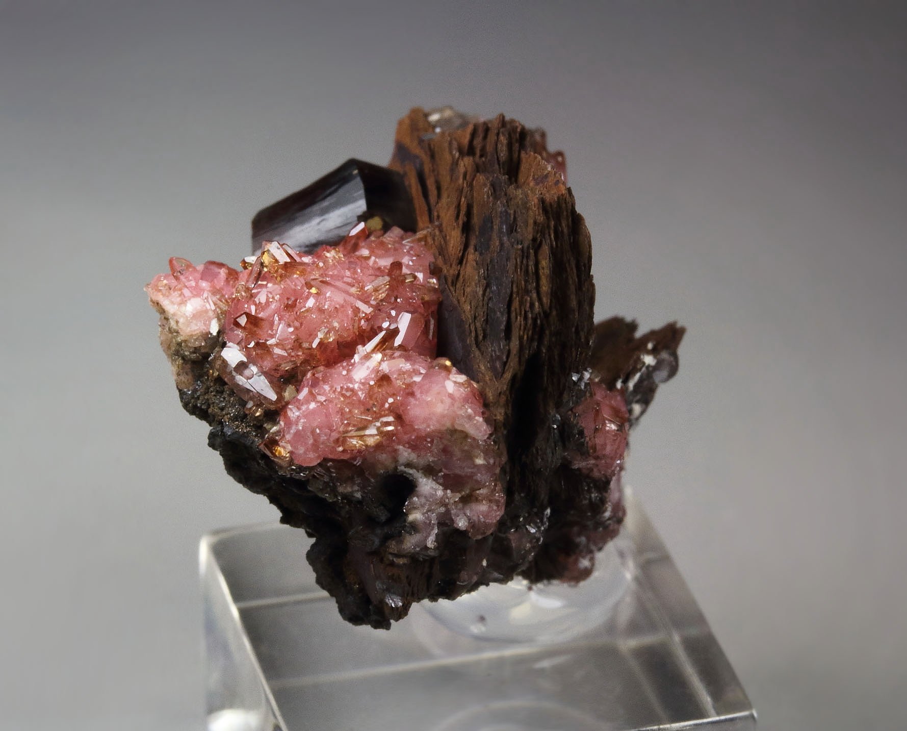 SHIGAITE, RHODOCHROSITE