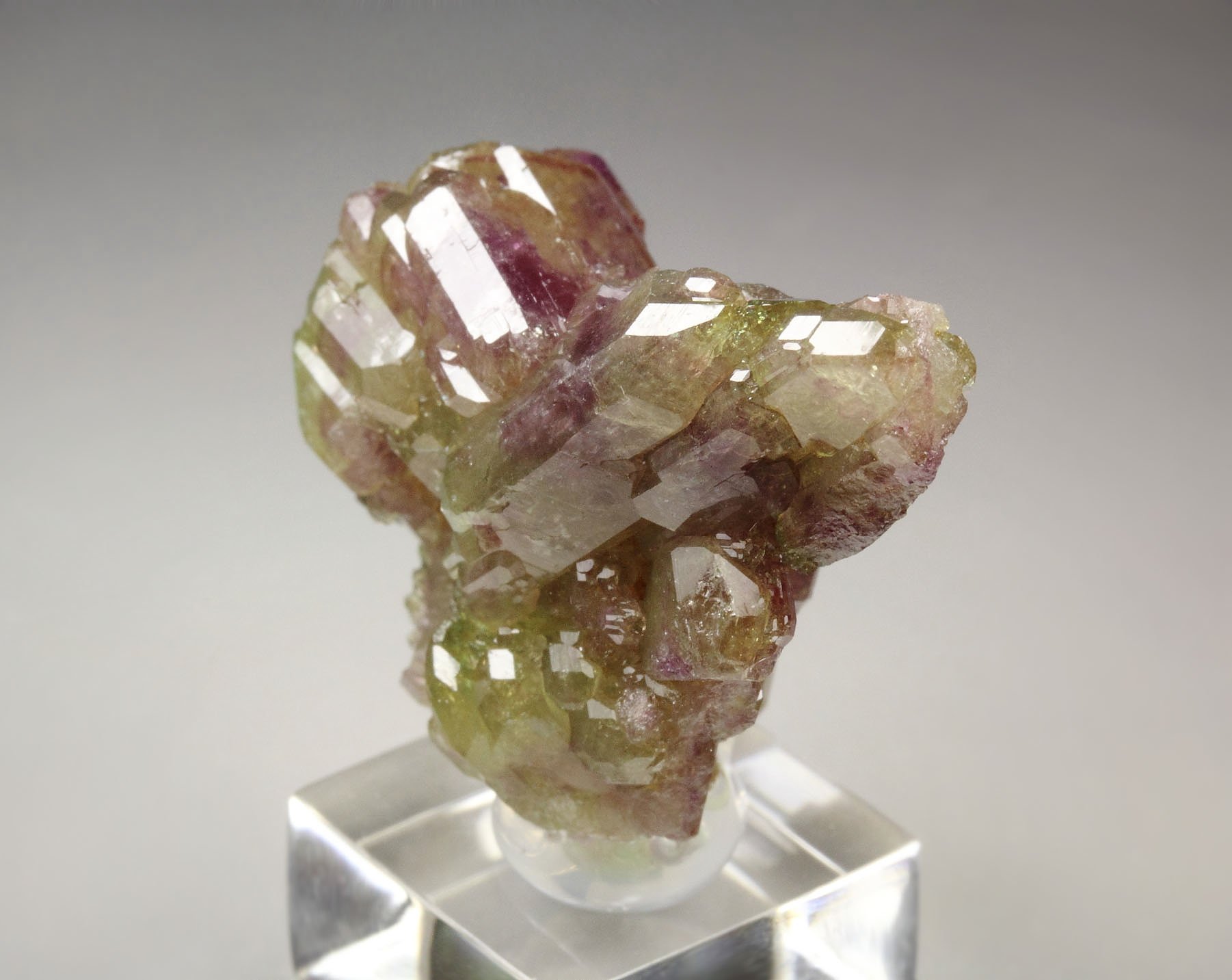 gemmy bi-terminated VESUVIANITE bi-color