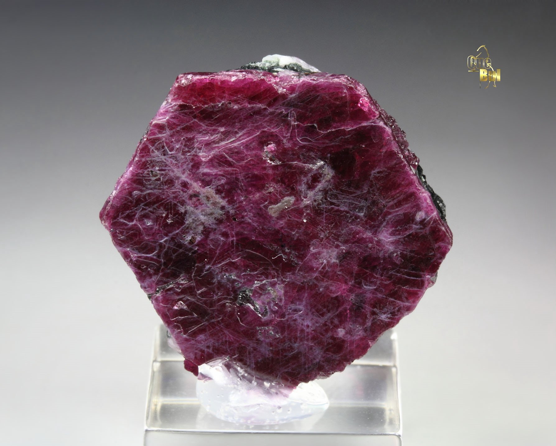 CORUNDUM var. RUBY, MUSCOVITE