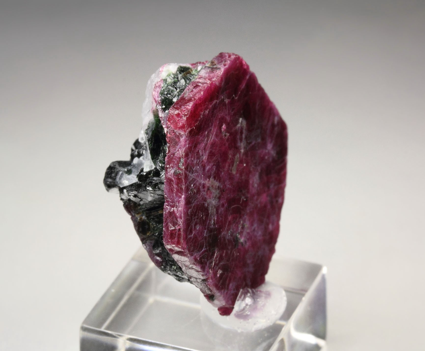 CORUNDUM var. RUBY, MUSCOVITE