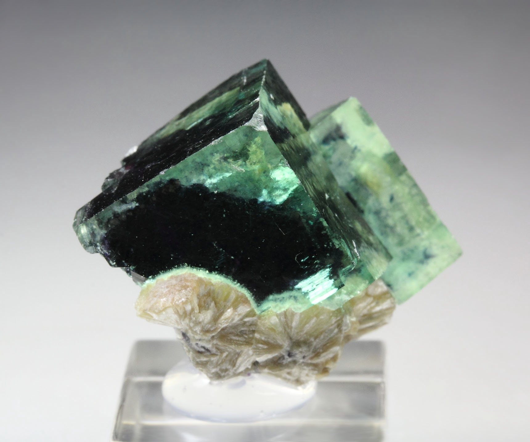 FLUORITE with PHANTOMS