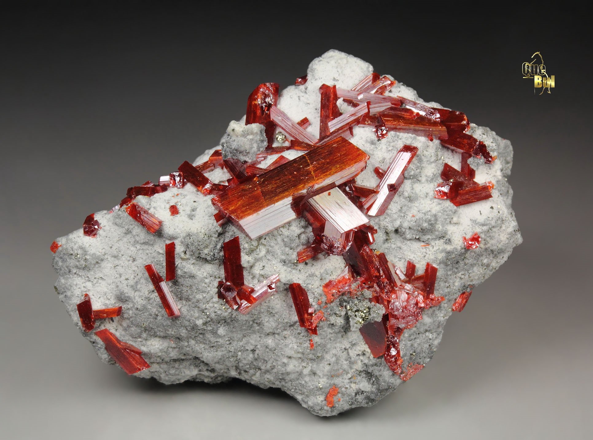 REALGAR