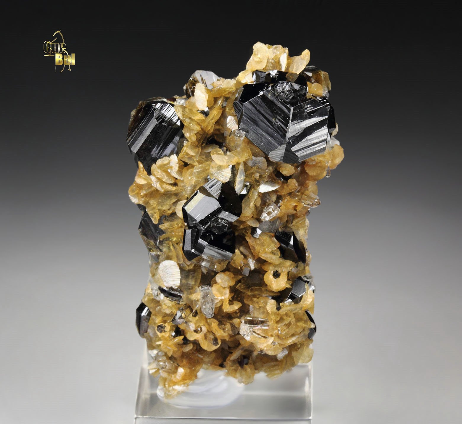 CASSITERITE twinned, SIDERITE, QUARTZ