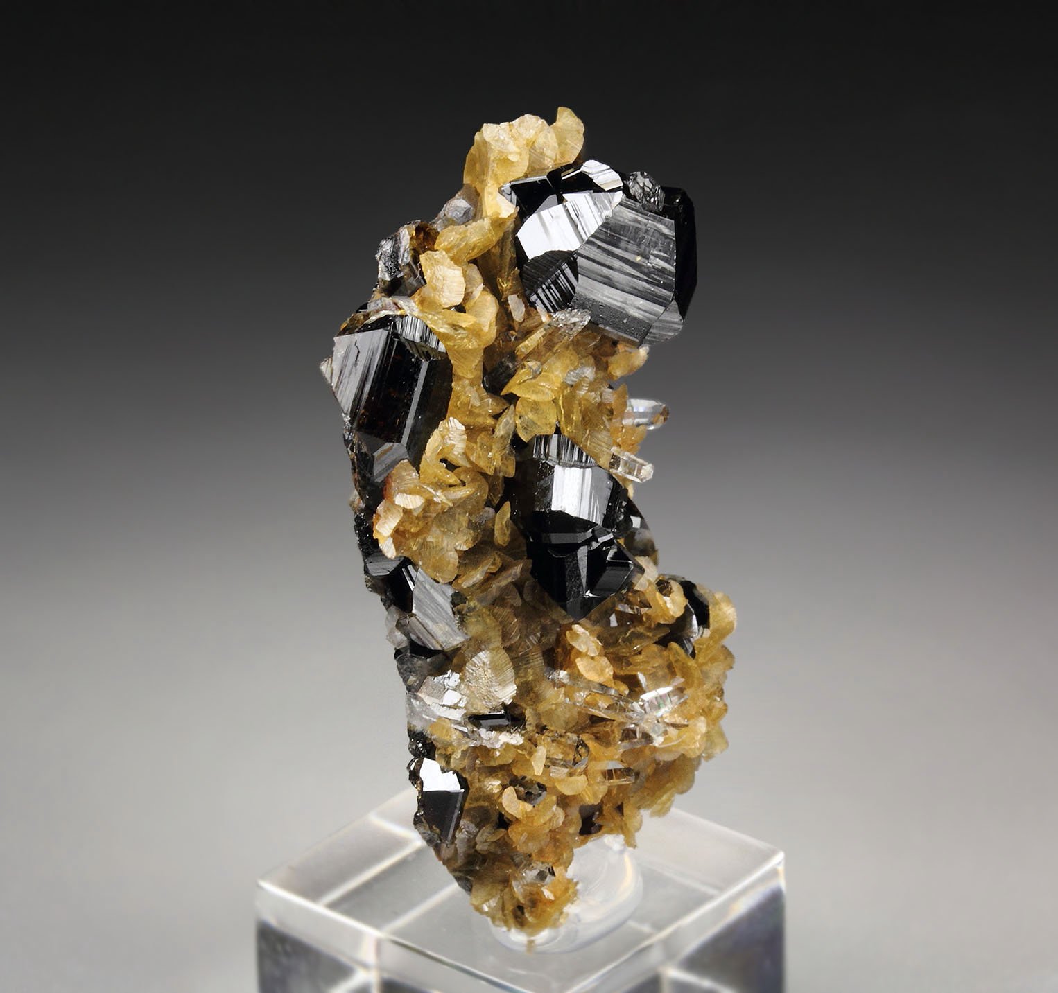 CASSITERITE twinned, SIDERITE, QUARTZ