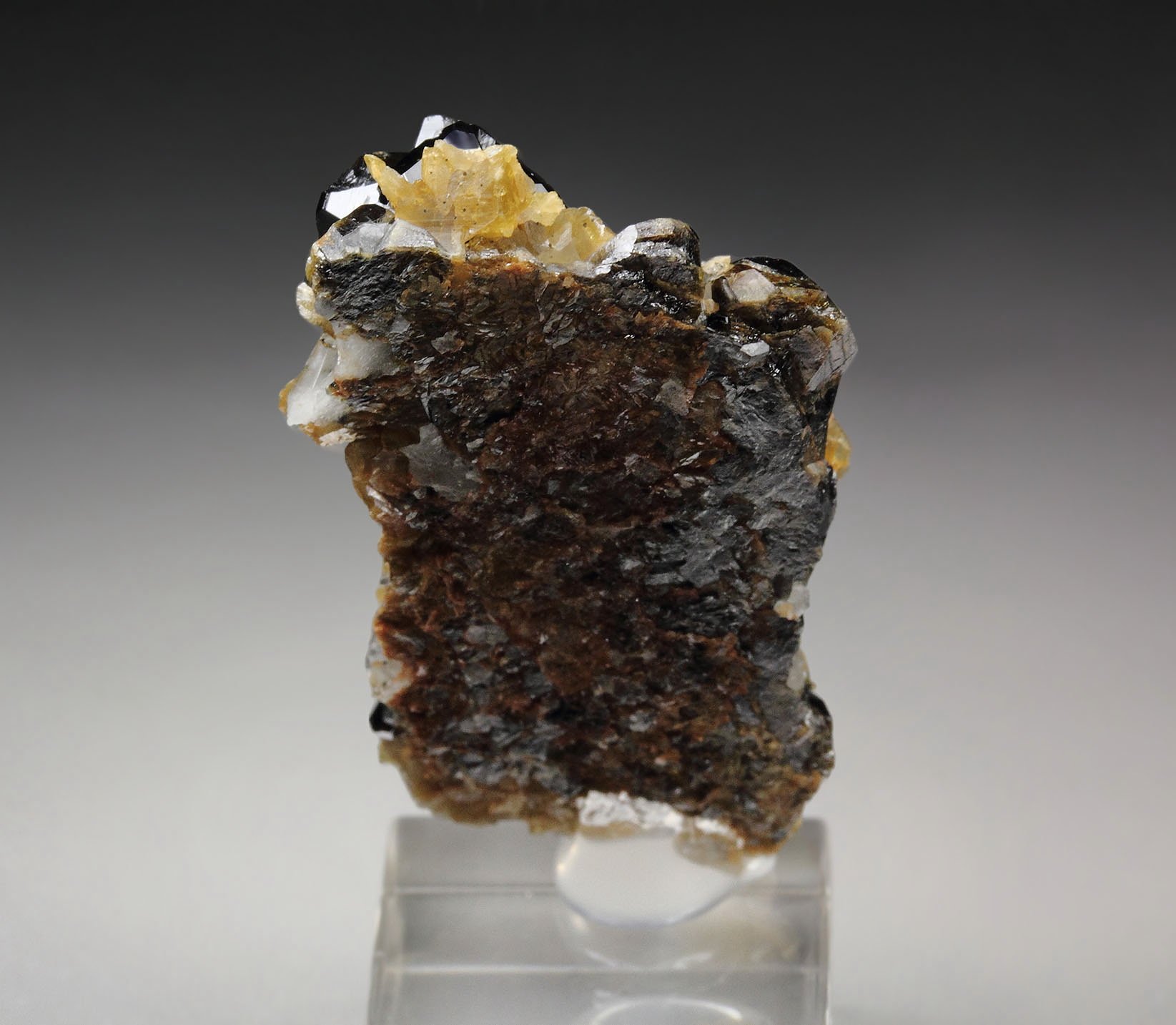 CASSITERITE twinned, SIDERITE, QUARTZ