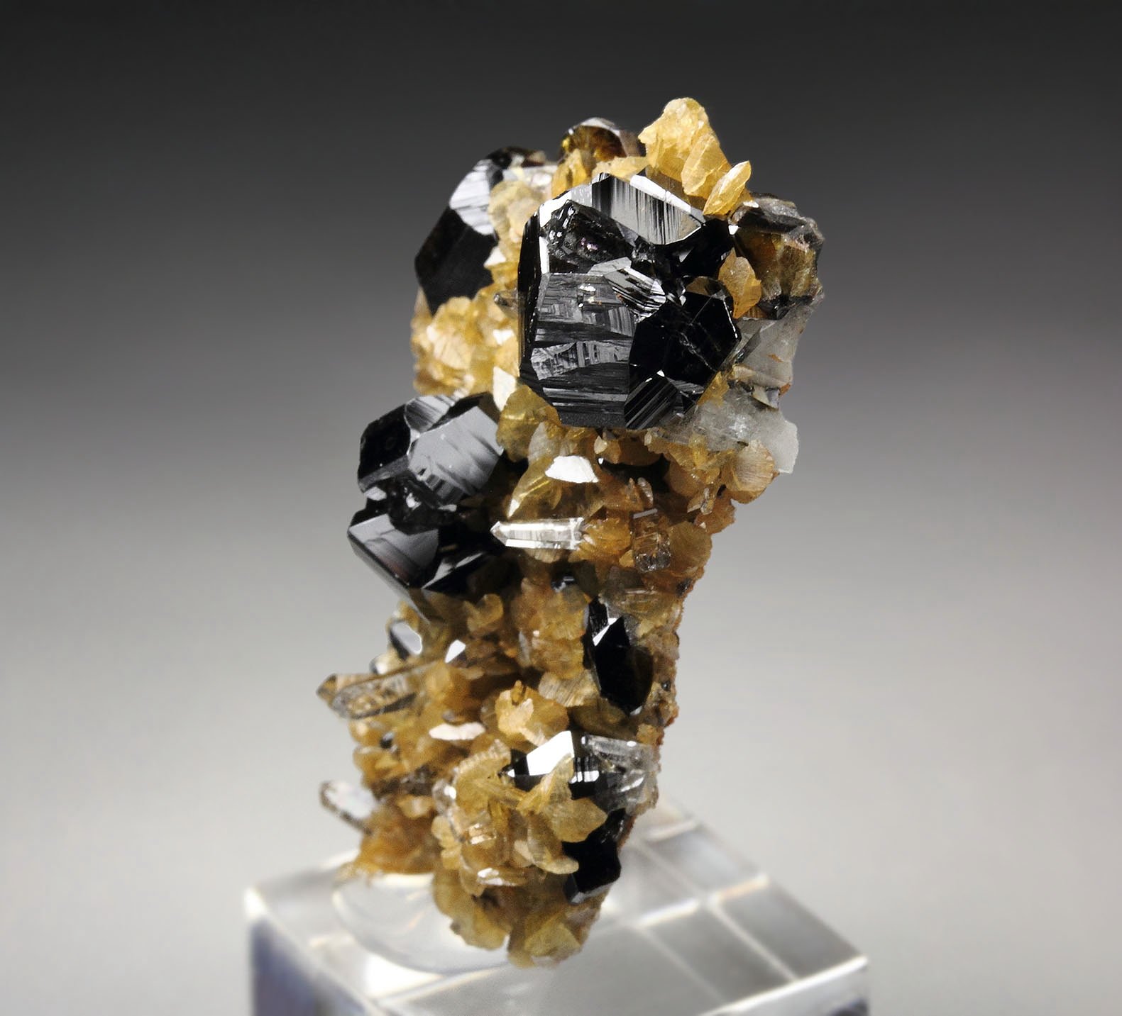 CASSITERITE twinned, SIDERITE, QUARTZ