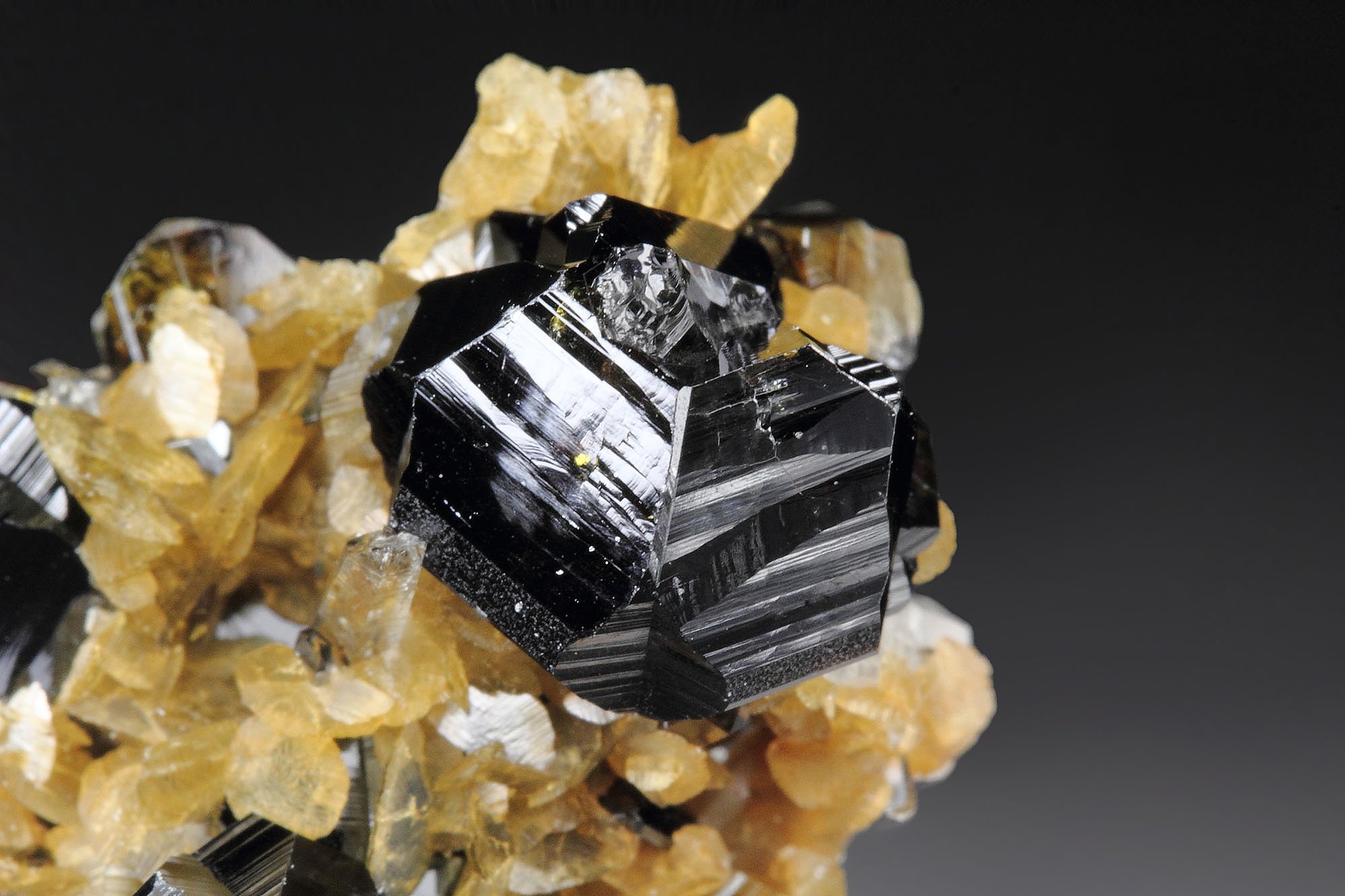 CASSITERITE twinned, SIDERITE, QUARTZ