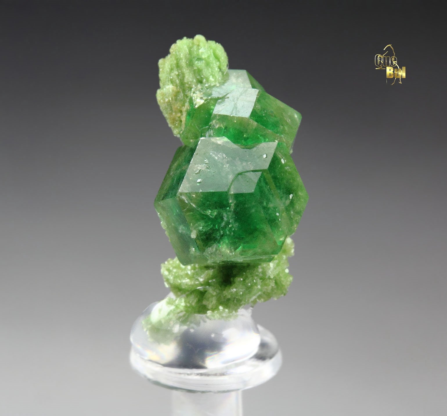 gem GARNET var. GROSSULAR with GREEN CHROMIAN PHANTOMS. DIOPSIDE