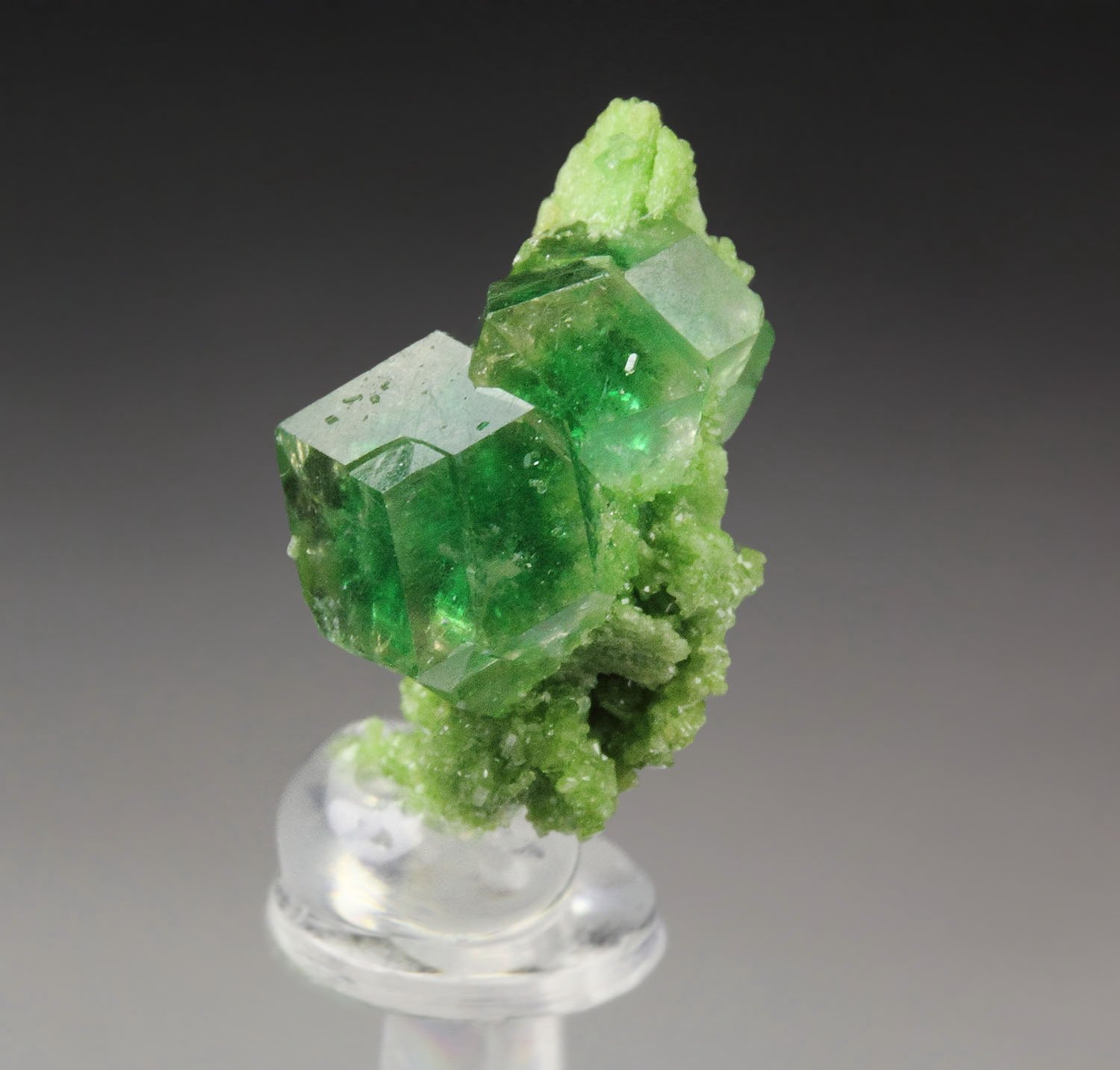 gem GARNET var. GROSSULAR with GREEN CHROMIAN PHANTOMS. DIOPSIDE