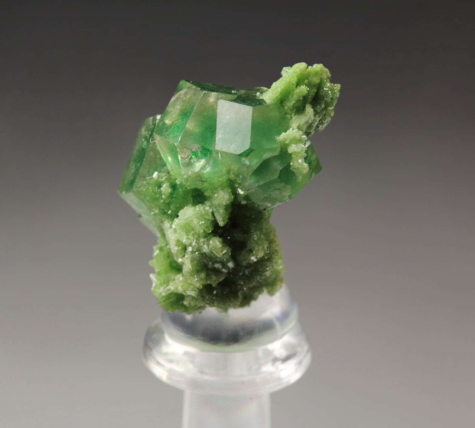 gem GARNET var. GROSSULAR with GREEN CHROMIAN PHANTOMS. DIOPSIDE