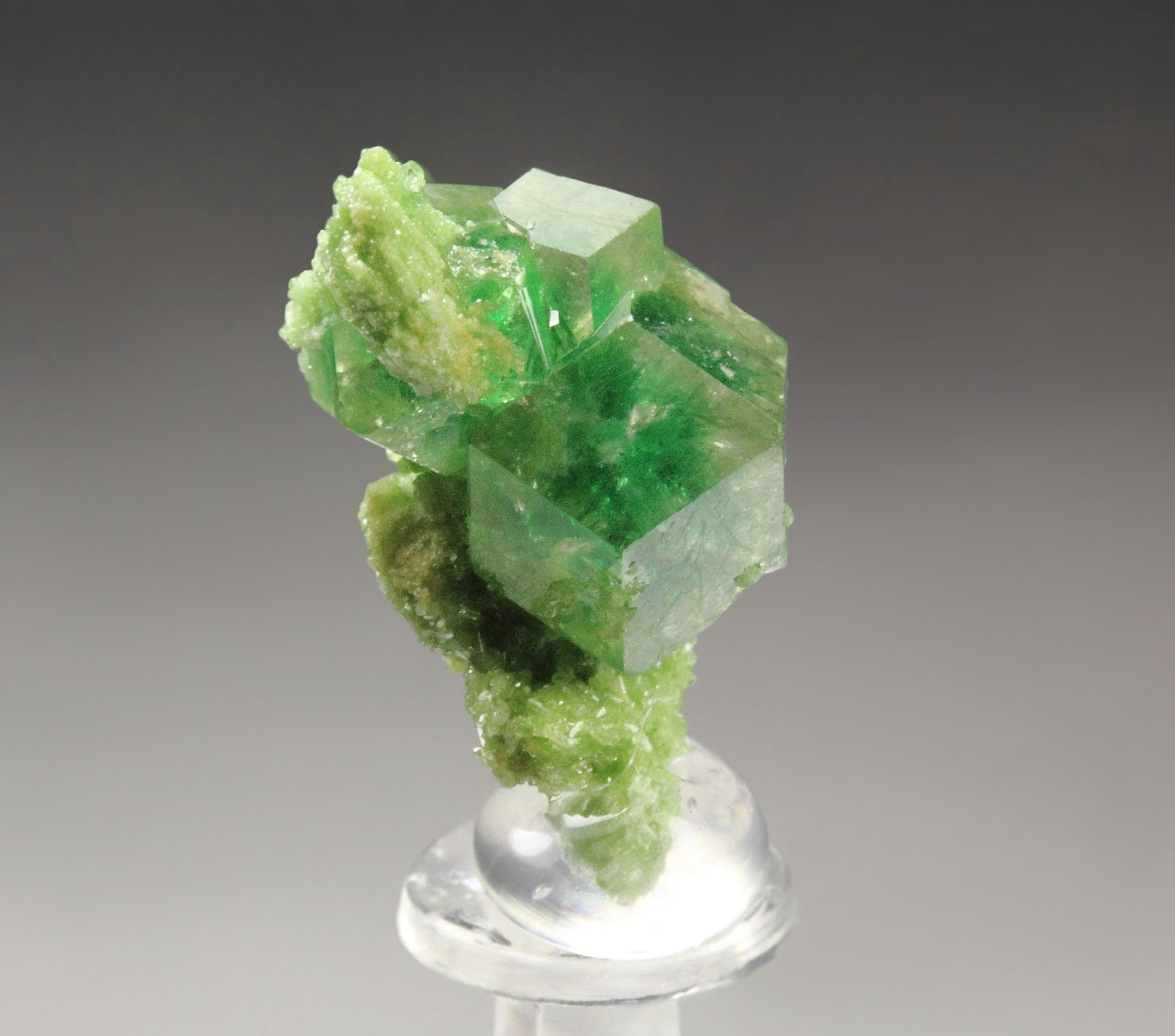 gem GARNET var. GROSSULAR with GREEN CHROMIAN PHANTOMS. DIOPSIDE