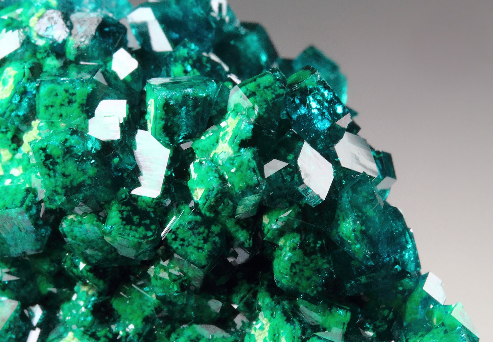 gemmy DIOPTASE with DUFTITE inclusions, CALCITE 