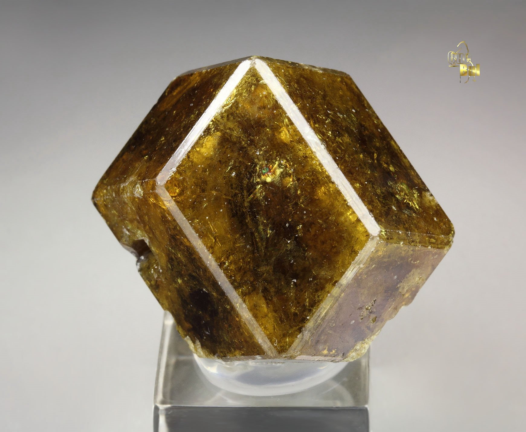 gemmy GARNET var. ANDRADITE
