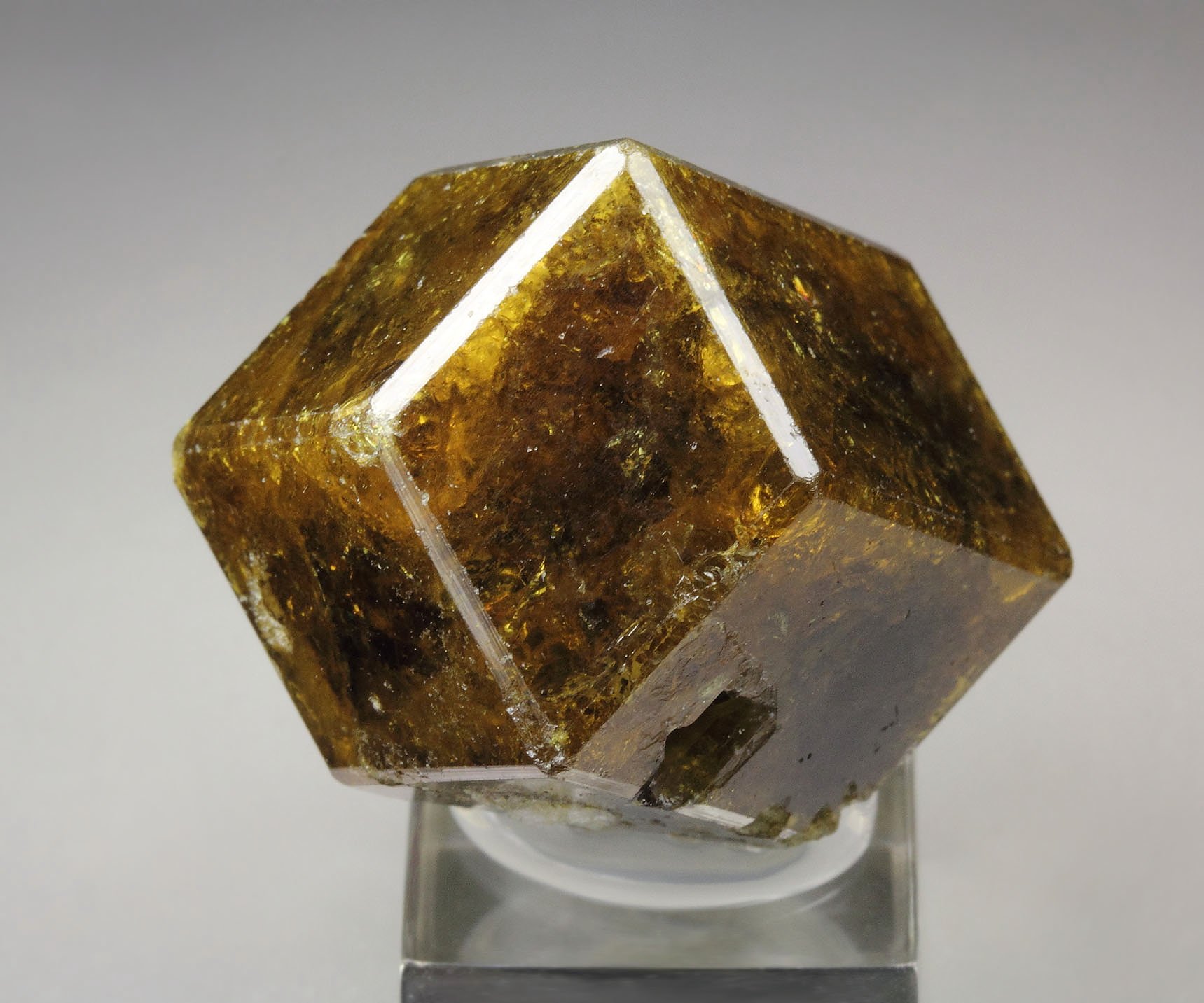 gemmy GARNET var. ANDRADITE
