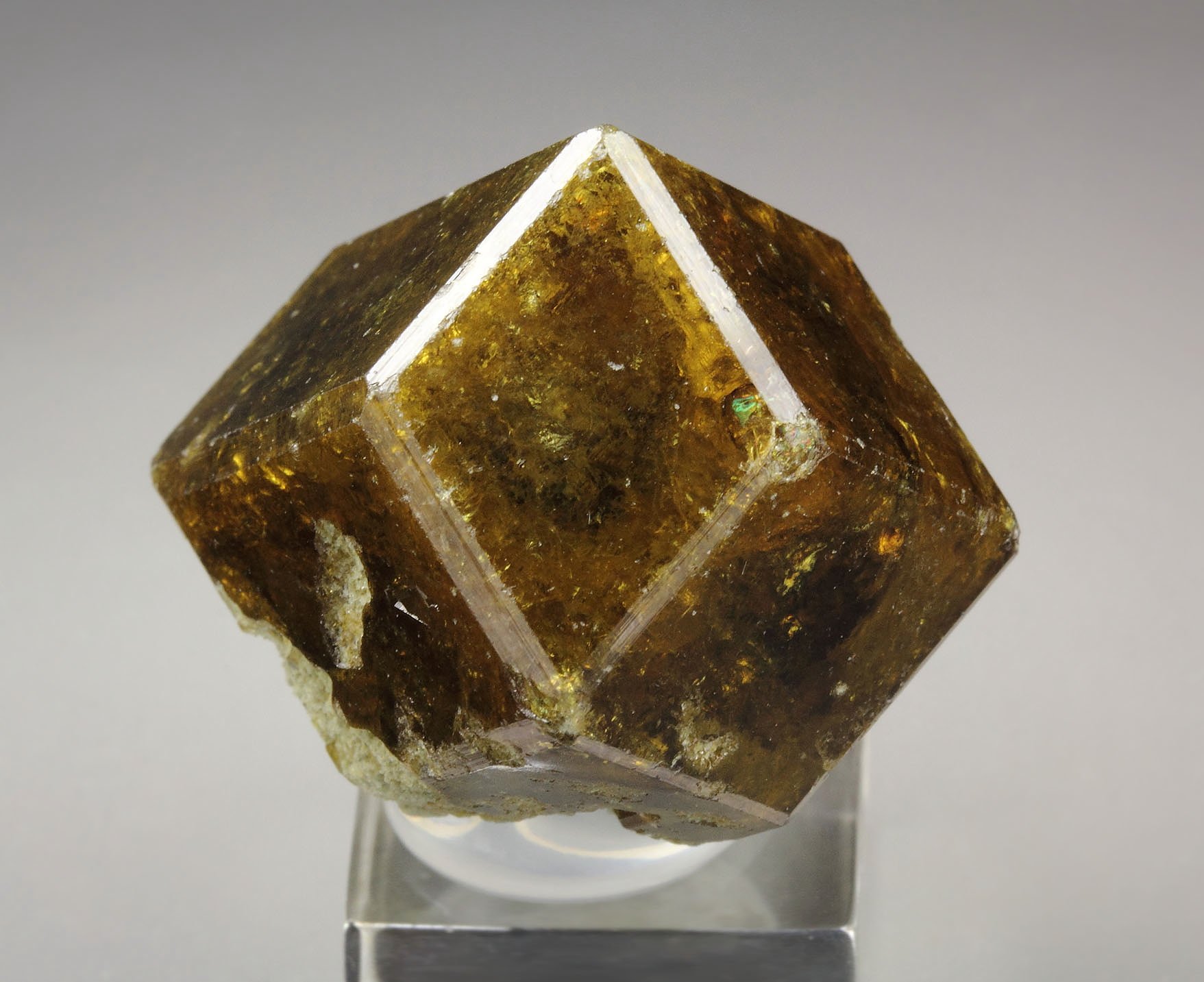 gemmy GARNET var. ANDRADITE