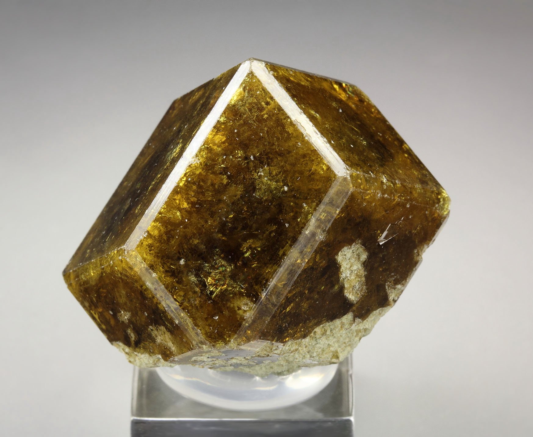 gemmy GARNET var. ANDRADITE