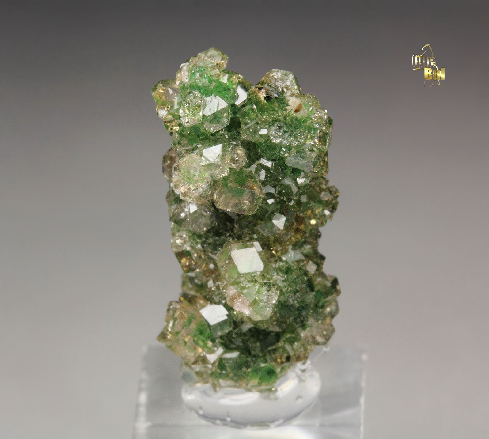 gem GARNET var. GROSSULAR with GREEN CHROMIAN PHANTOMS, CHROMITE