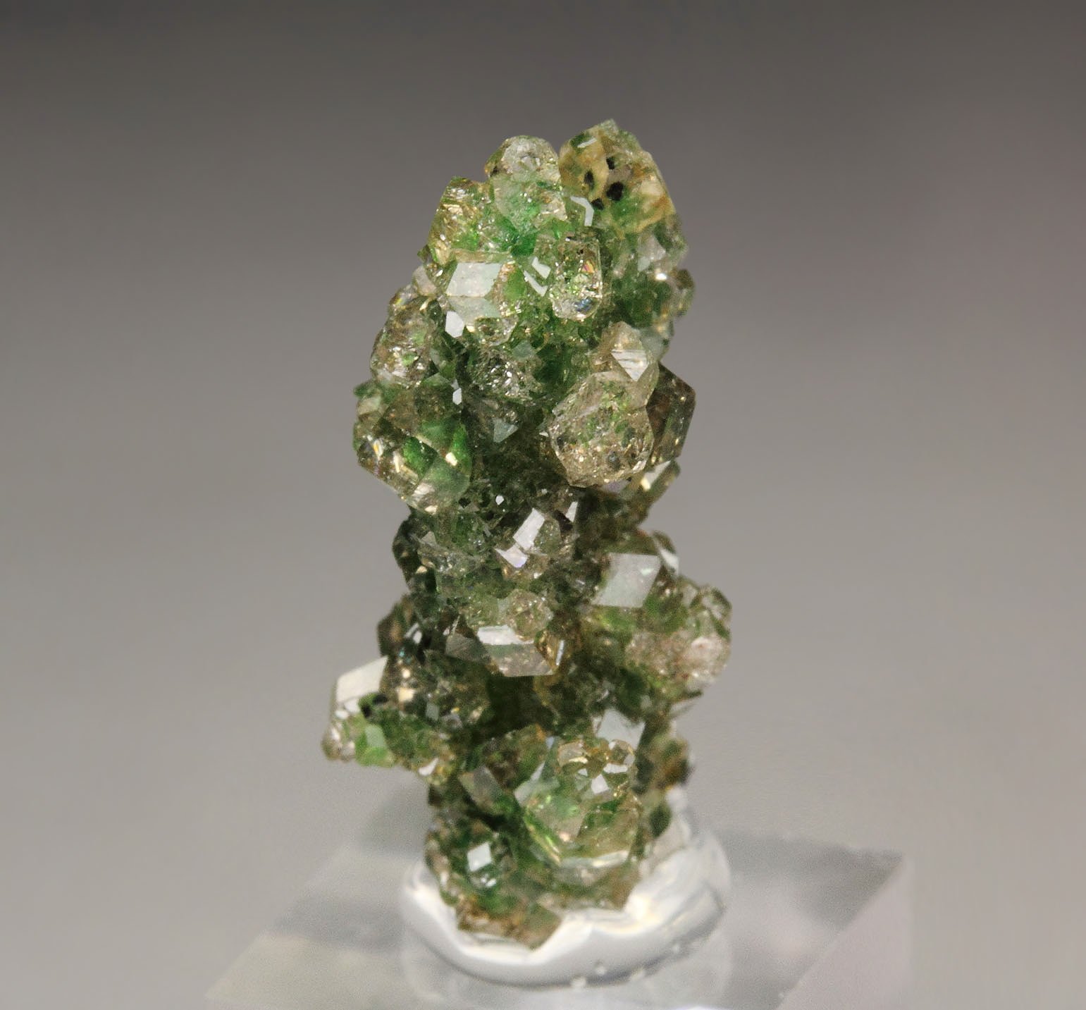 gem GARNET var. GROSSULAR with GREEN CHROMIAN PHANTOMS, CHROMITE