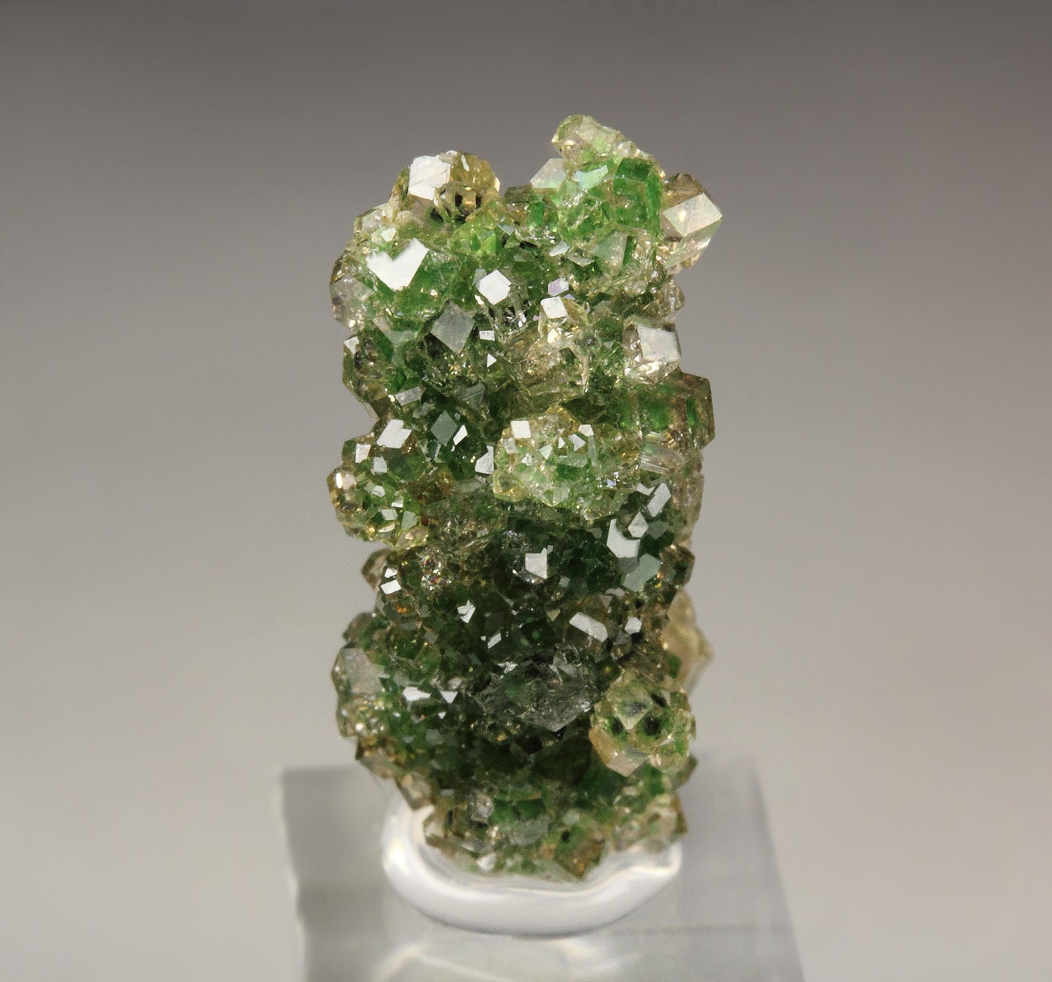 gem GARNET var. GROSSULAR with GREEN CHROMIAN PHANTOMS, CHROMITE