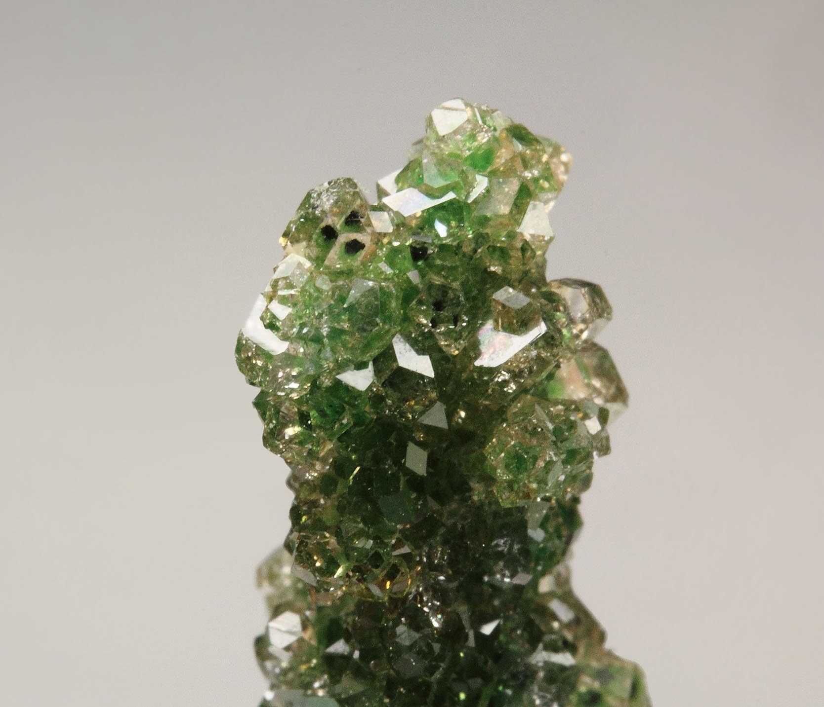 gem GARNET var. GROSSULAR with GREEN CHROMIAN PHANTOMS, CHROMITE