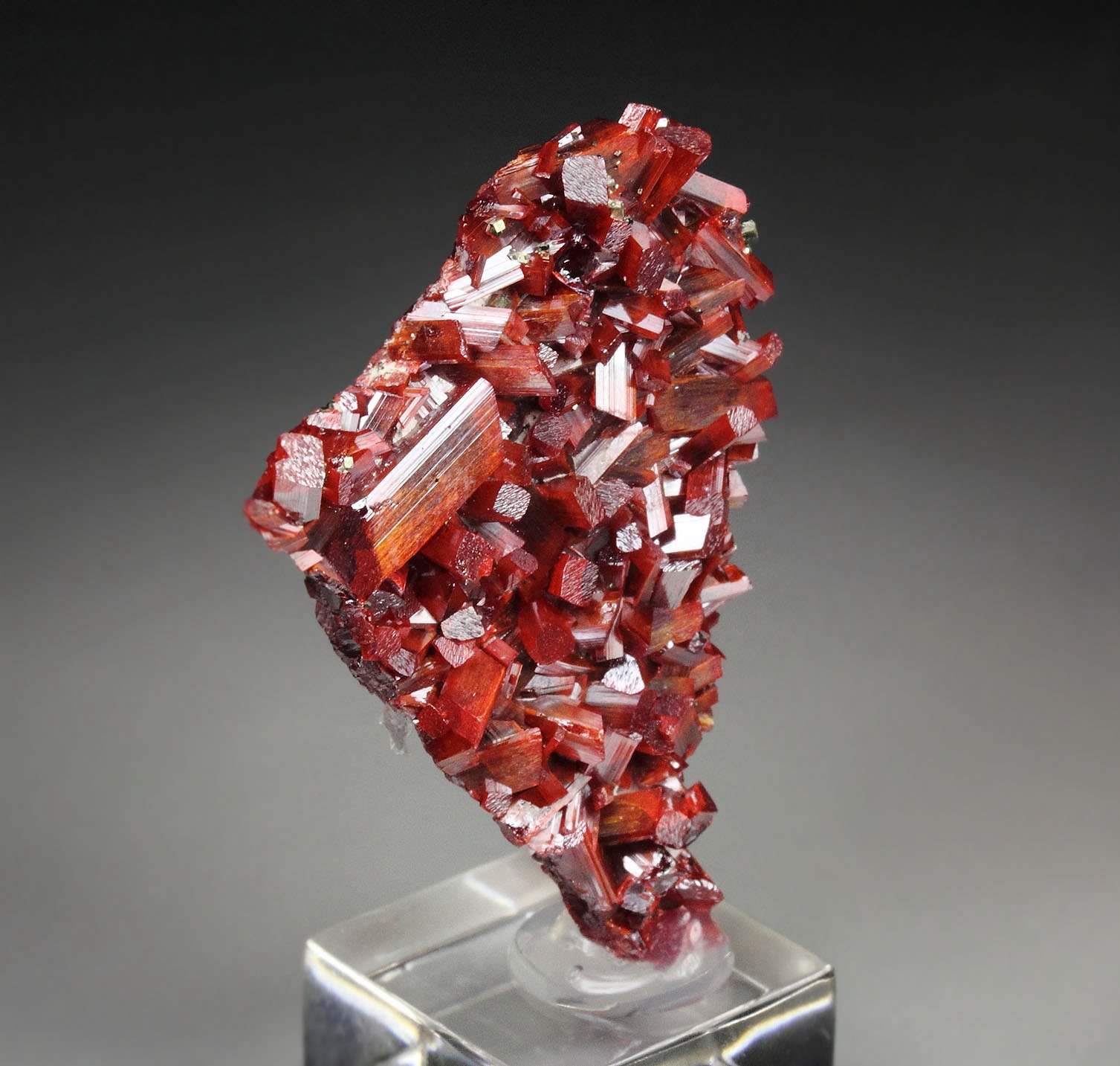 REALGAR