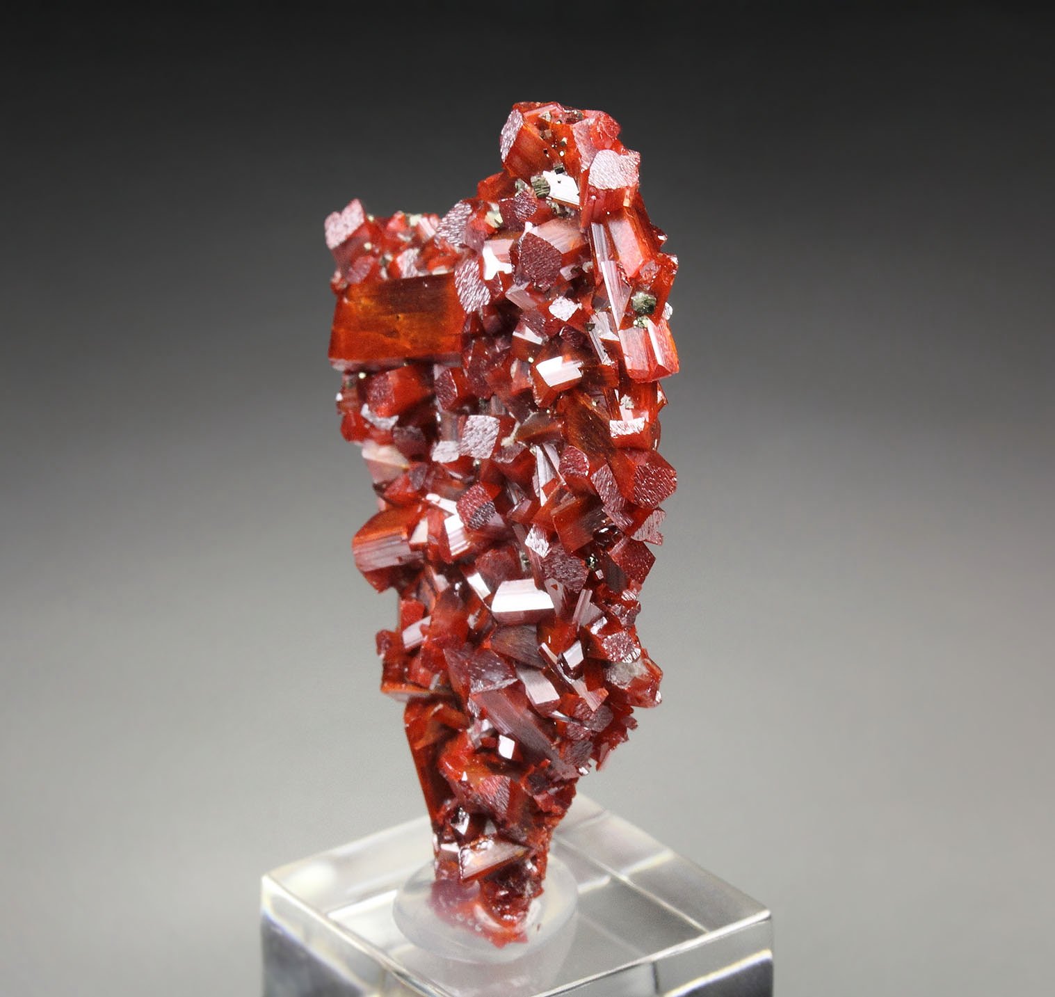 REALGAR