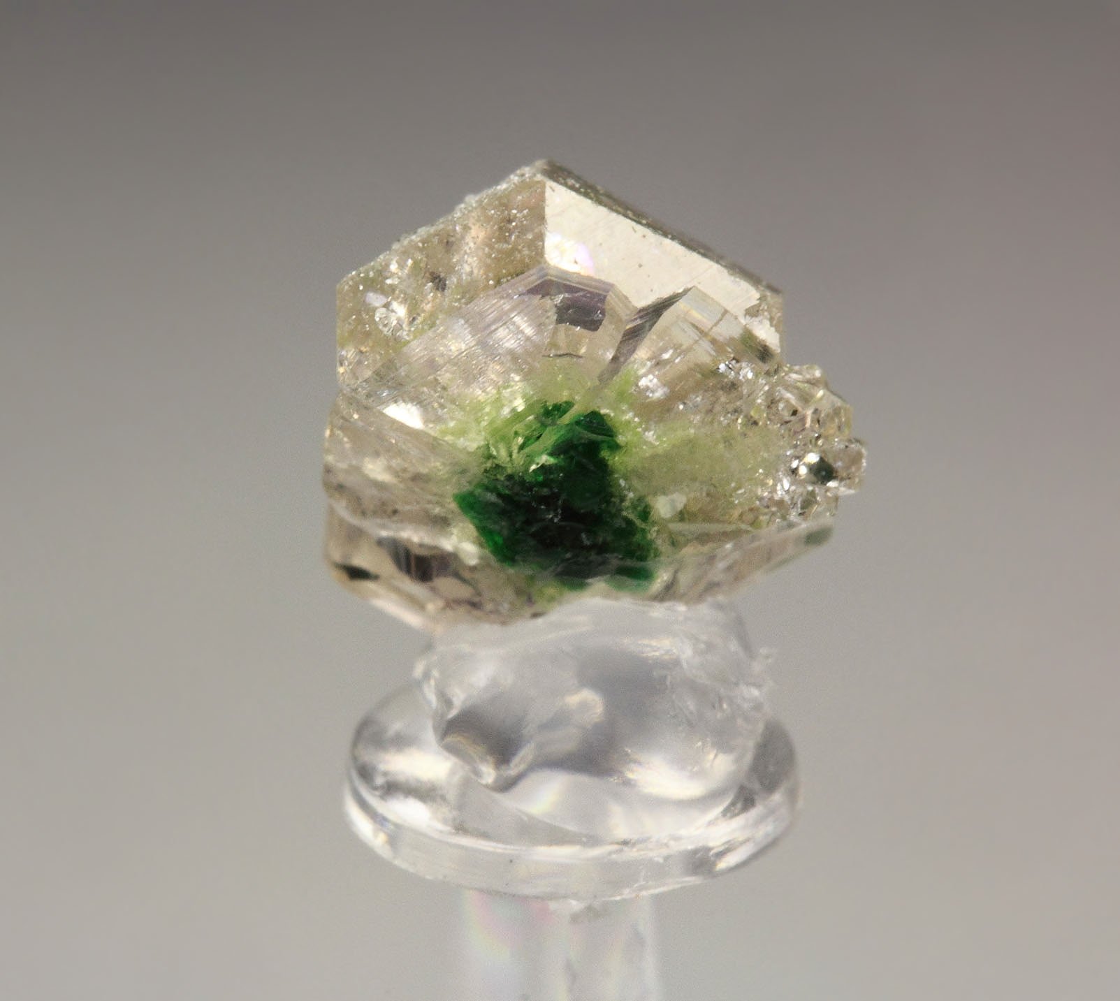 gem GARNET var. GROSSULAR with GREEN CHROMIAN PHANTOMS