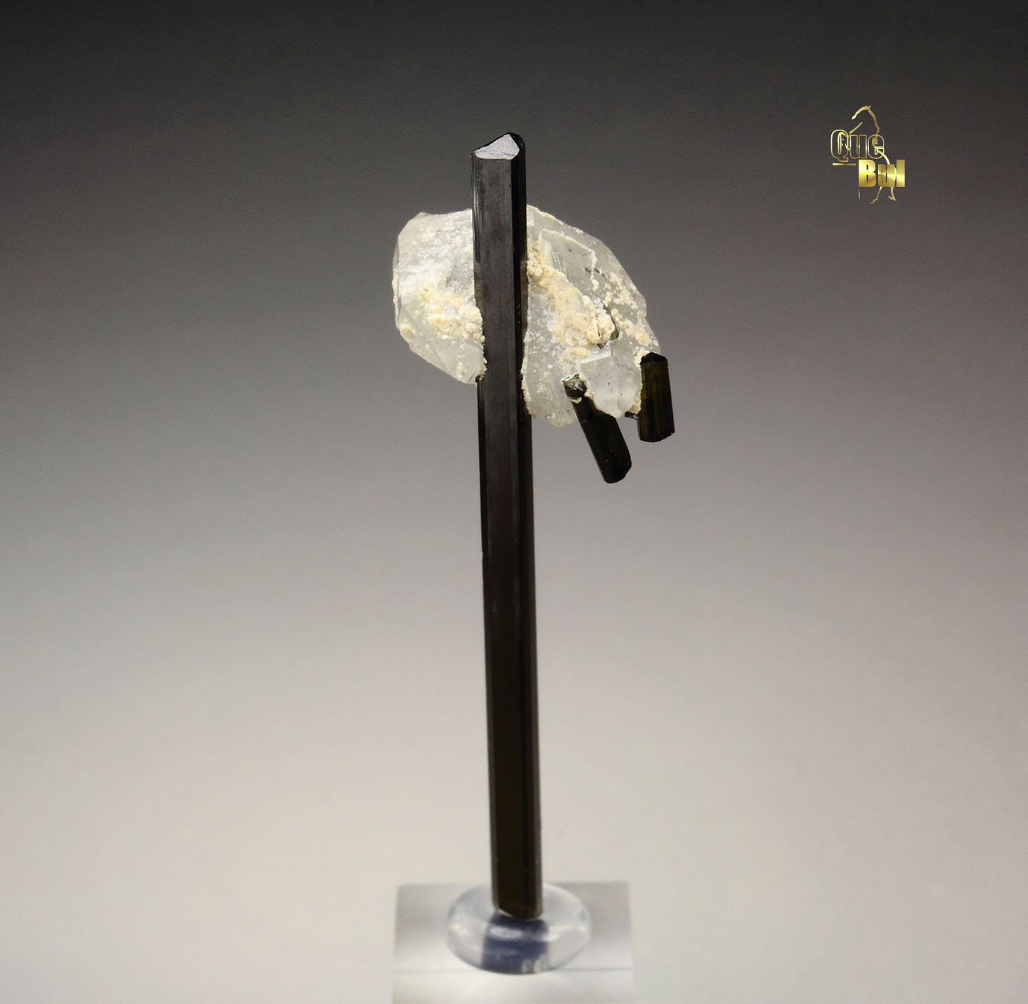 TOURMALINE var. ELBAITE, QUARTZ