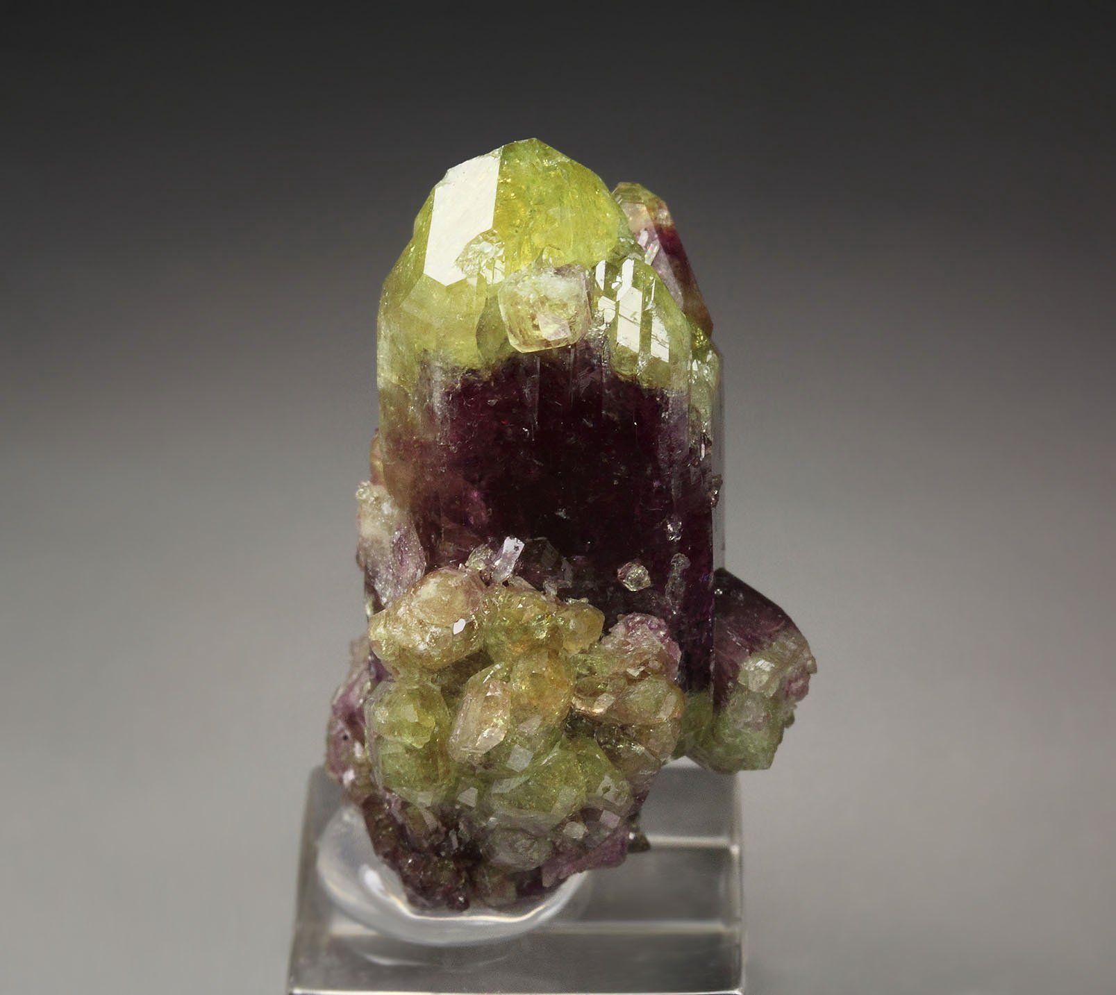 VESUVIANITE bi-color