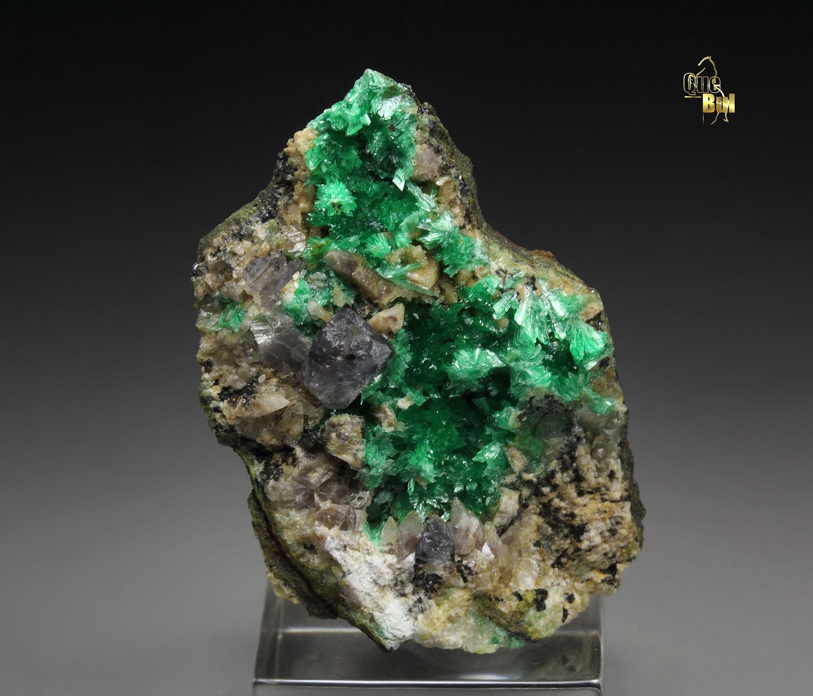 ANNABERGITE, FLUORITE