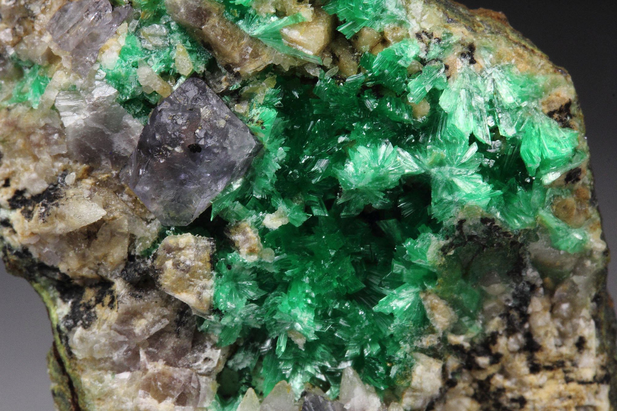 ANNABERGITE, FLUORITE