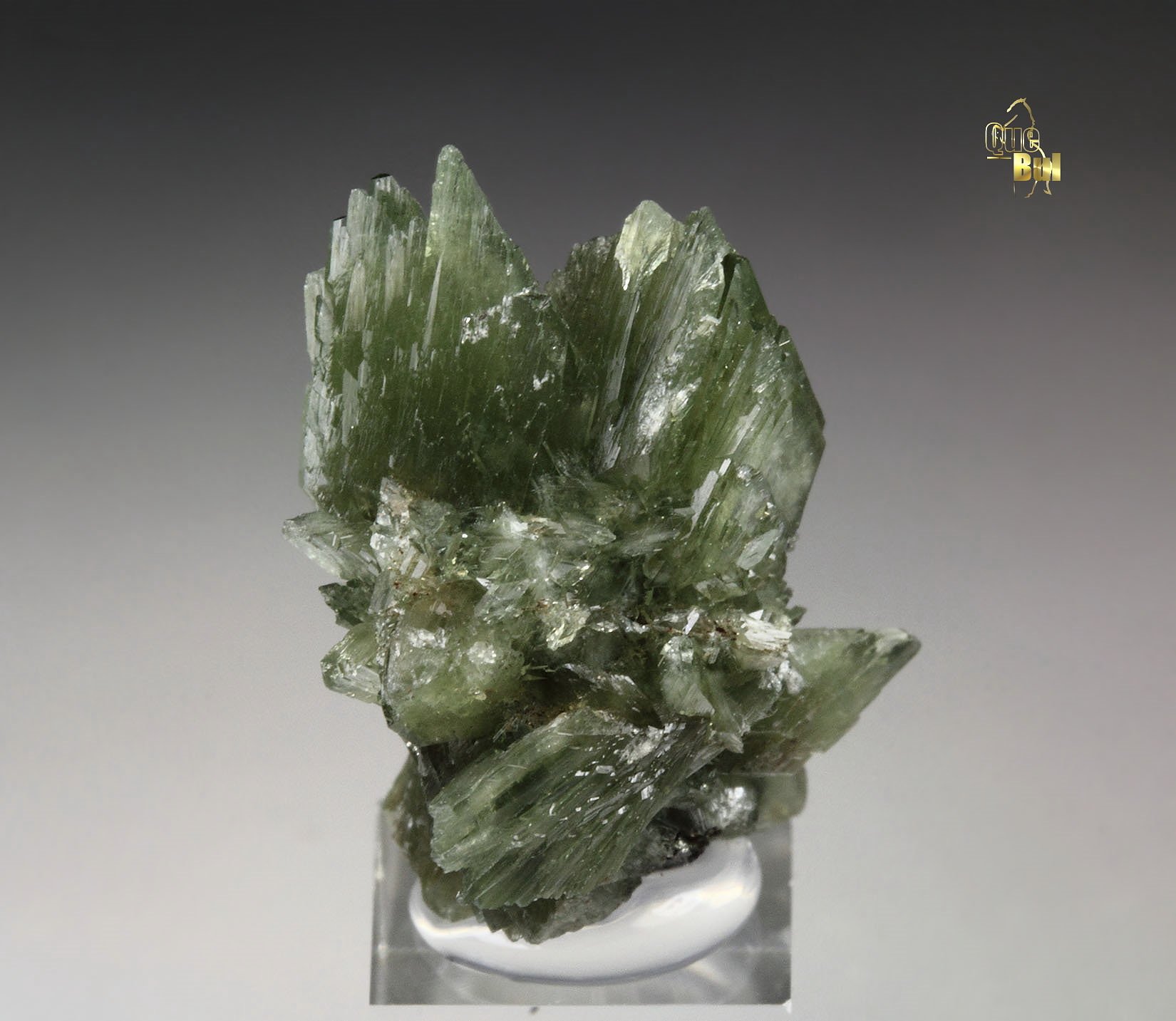 LUDLAMITE
