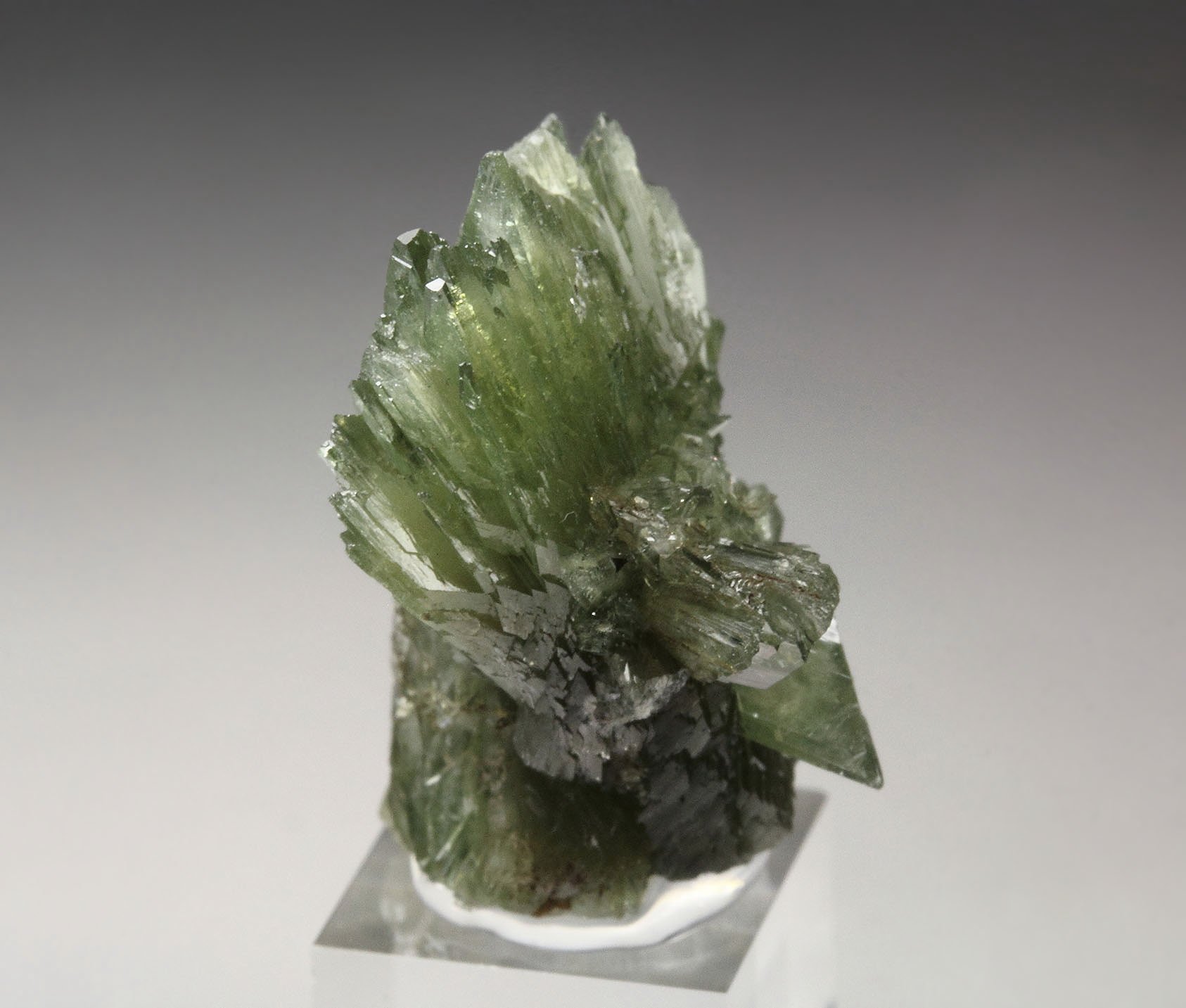 LUDLAMITE