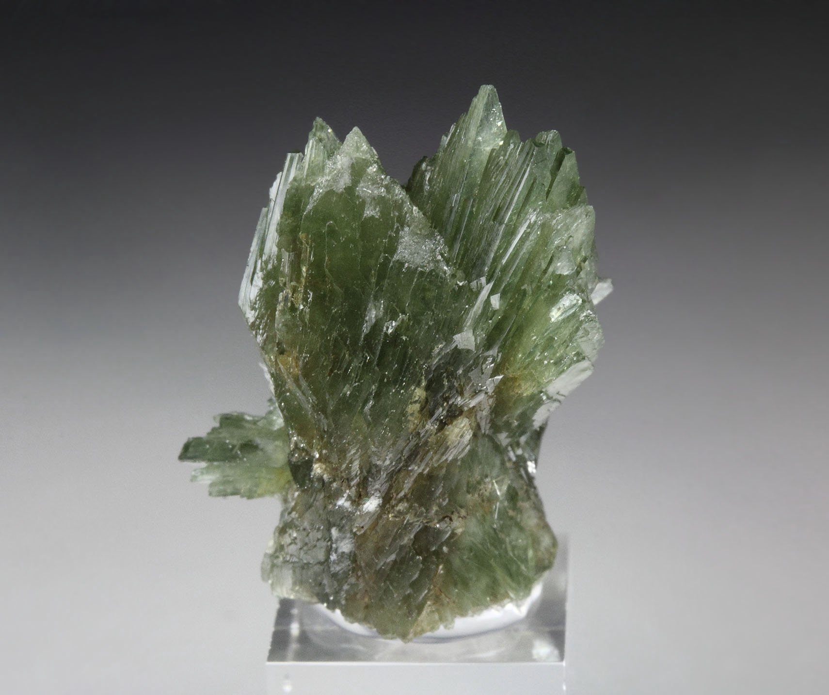 LUDLAMITE