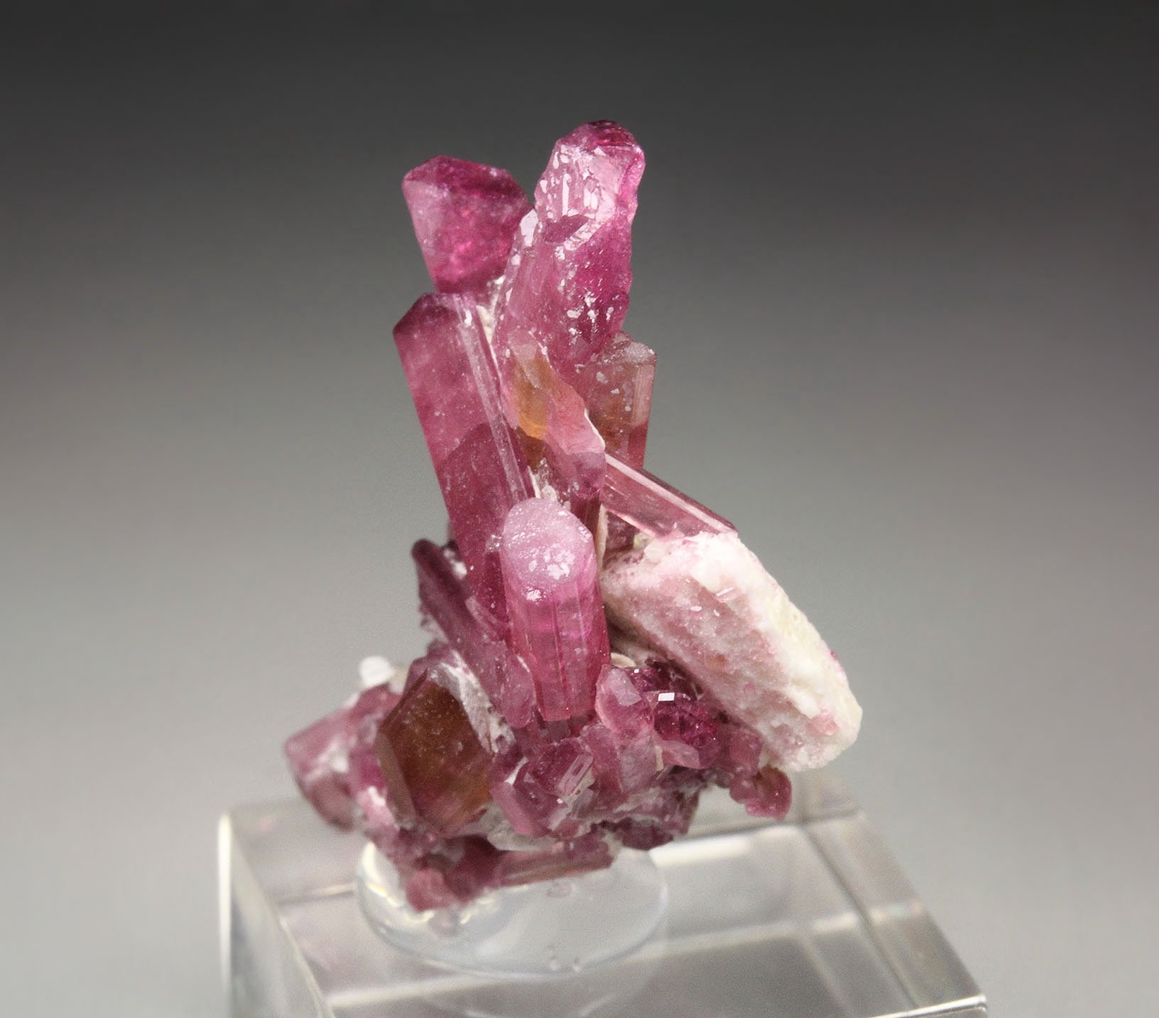 gemmy TOURMALINE var. ELBAITE