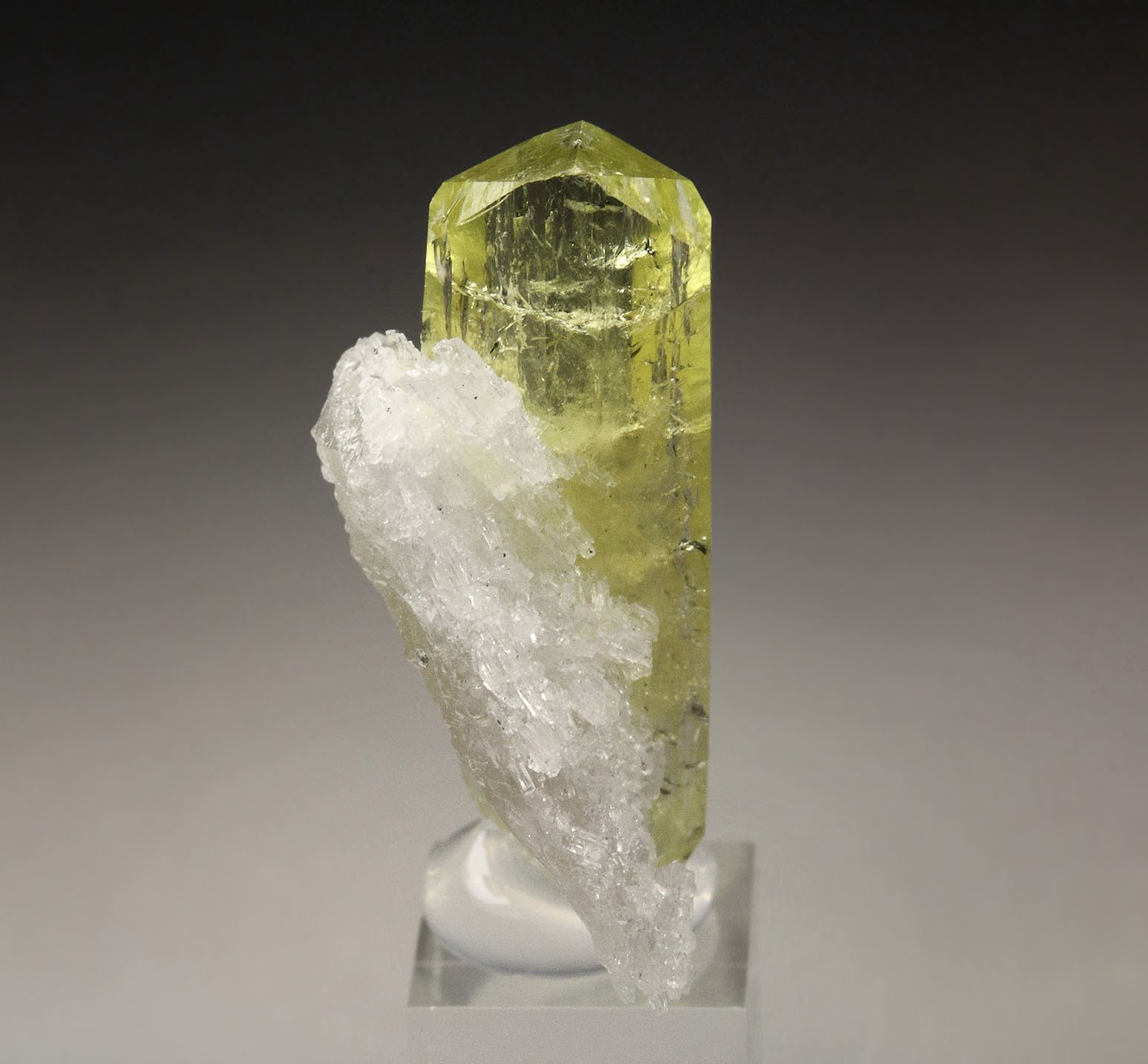 gem BRAZILIANITE, ALBITE