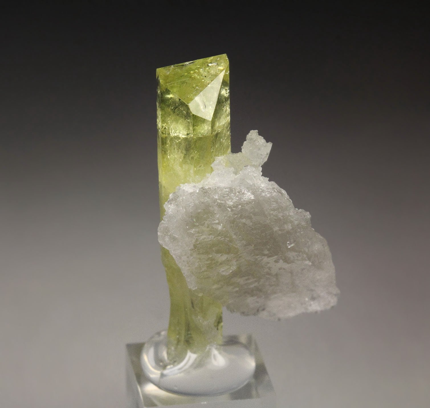 gem BRAZILIANITE, ALBITE