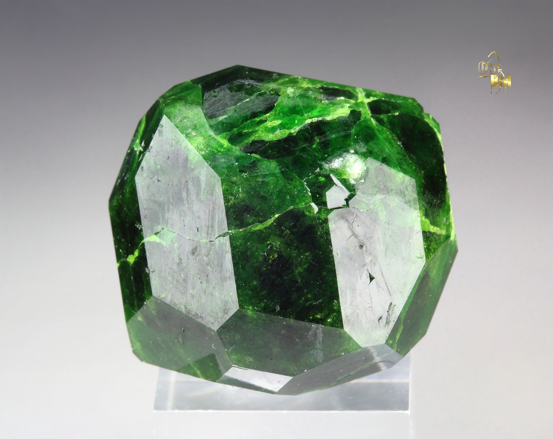 GARNET var. ANDRADITE var. DEMANTOID