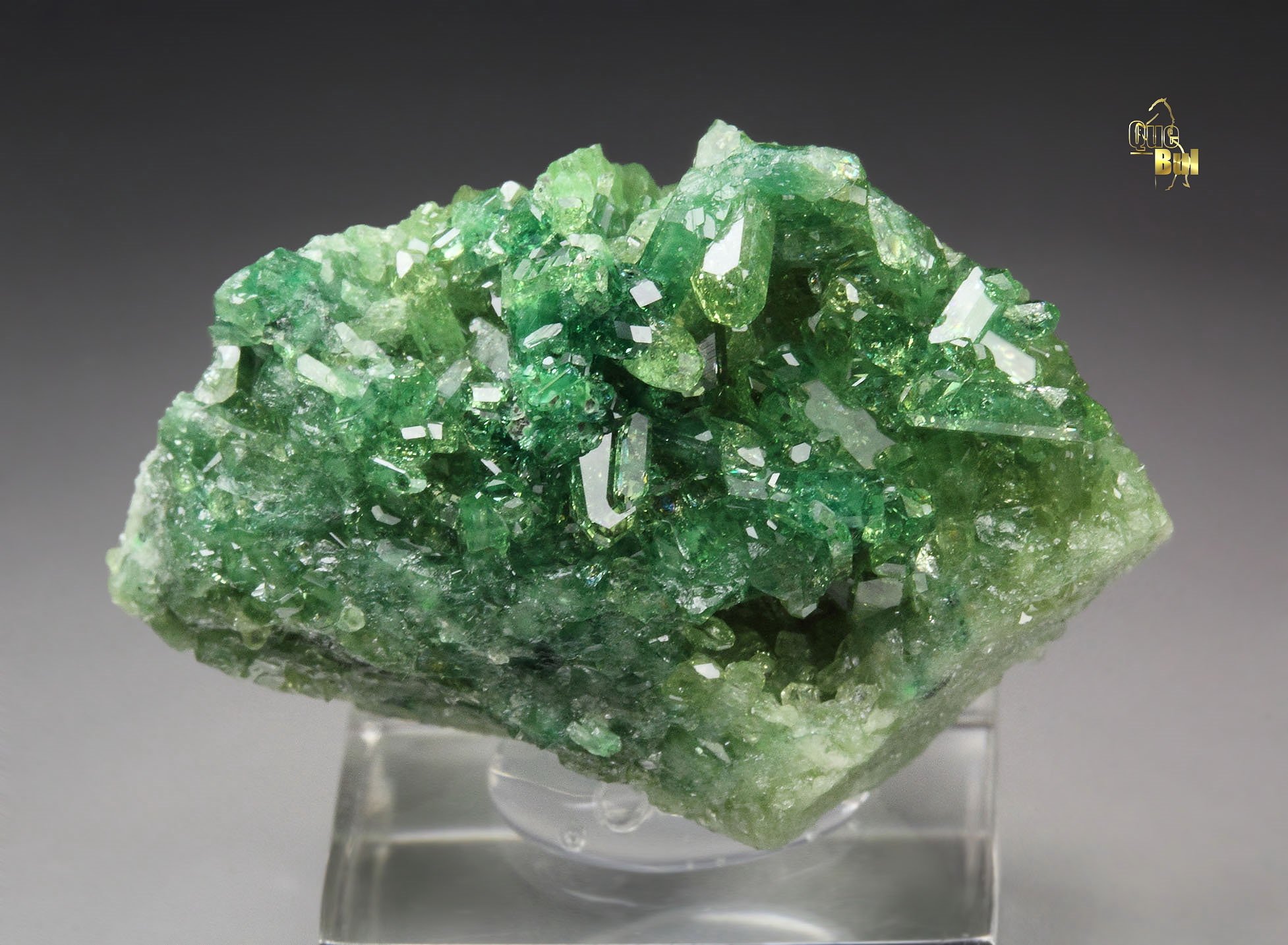 gem VESUVIANITE var. CHROMIAN