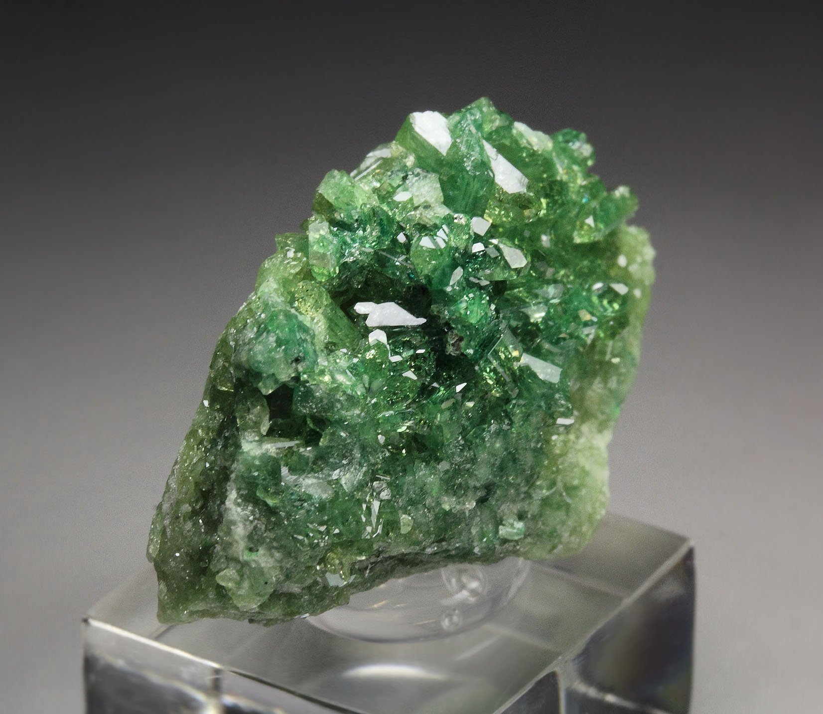 gem VESUVIANITE var. CHROMIAN