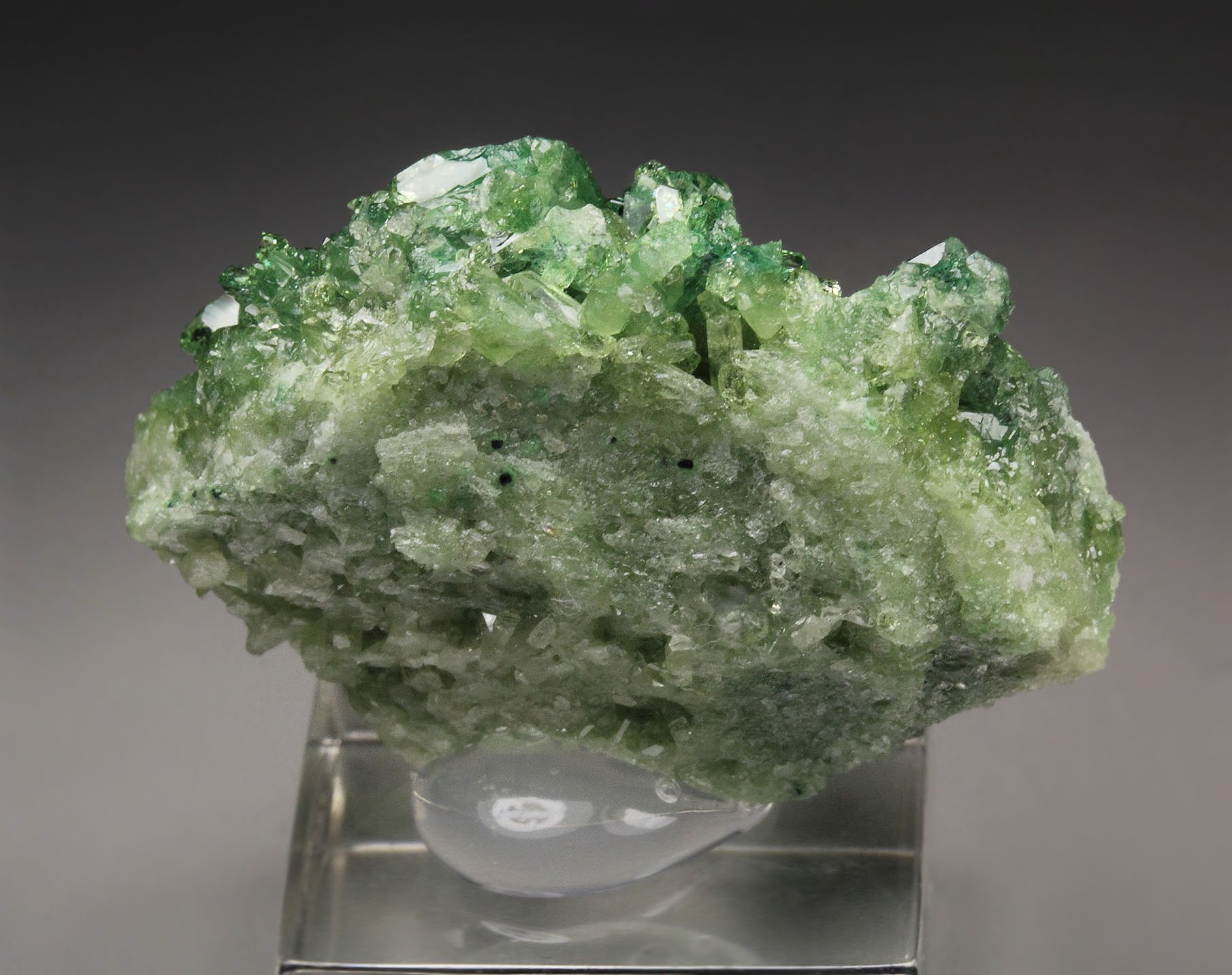 gem VESUVIANITE var. CHROMIAN