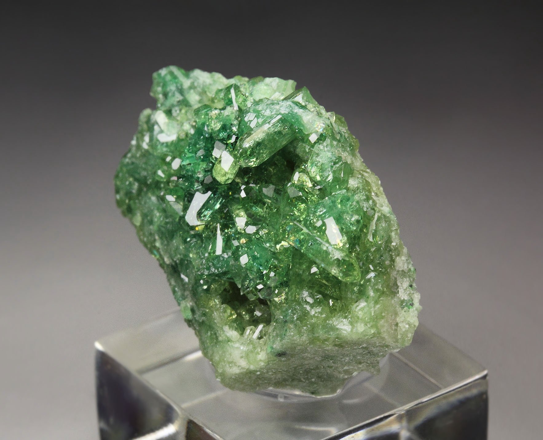 gem VESUVIANITE var. CHROMIAN