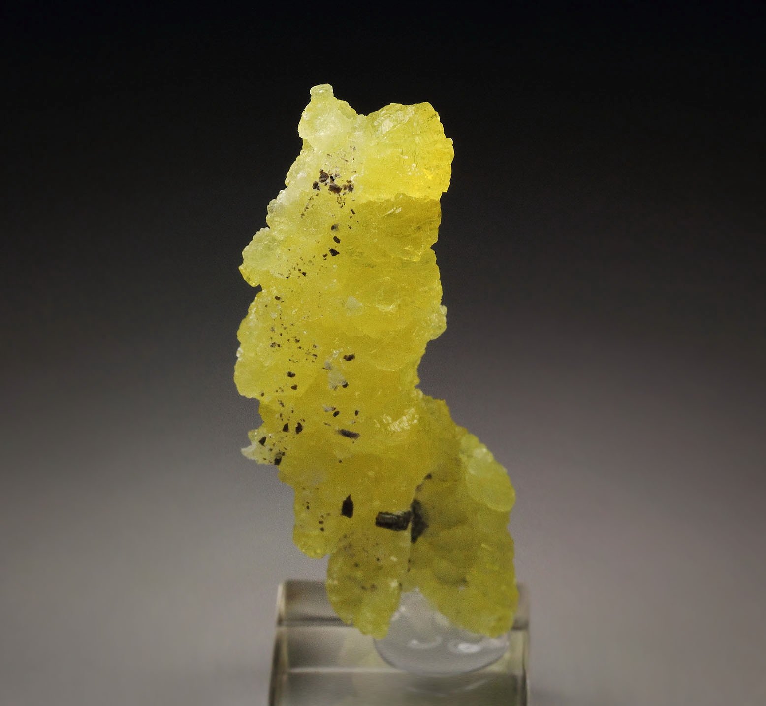 BRUCITE