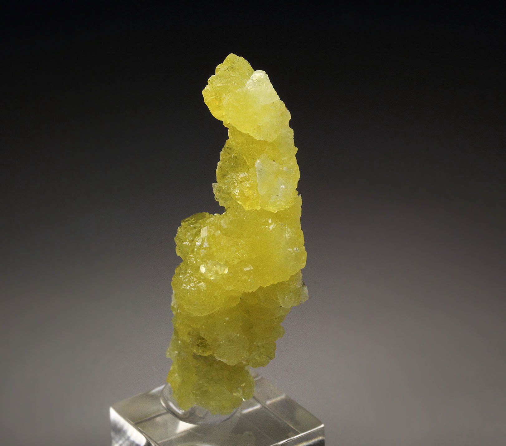 BRUCITE